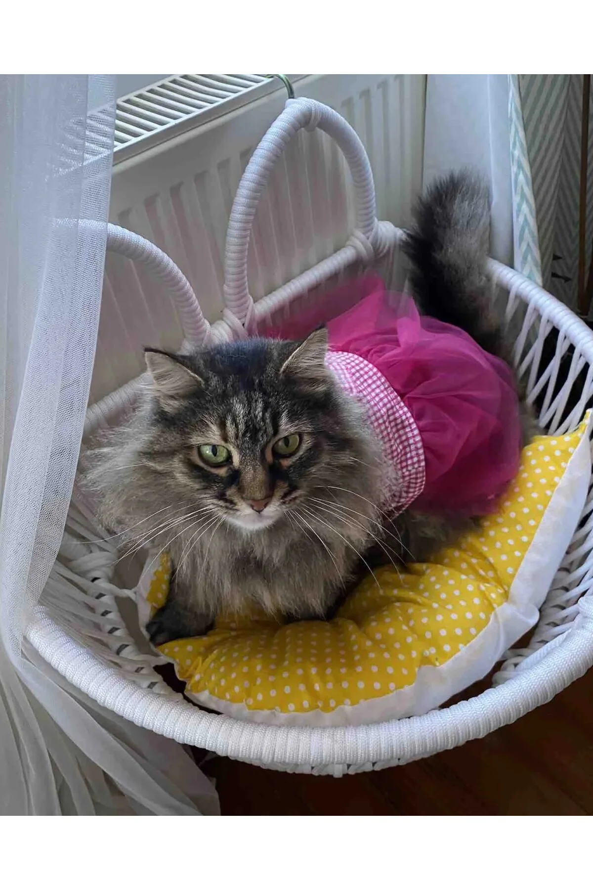 Pembe Kareli Fiyonklu Tüllü Kedi Köpek Kıyafeti Elbisesi XSMALL/X