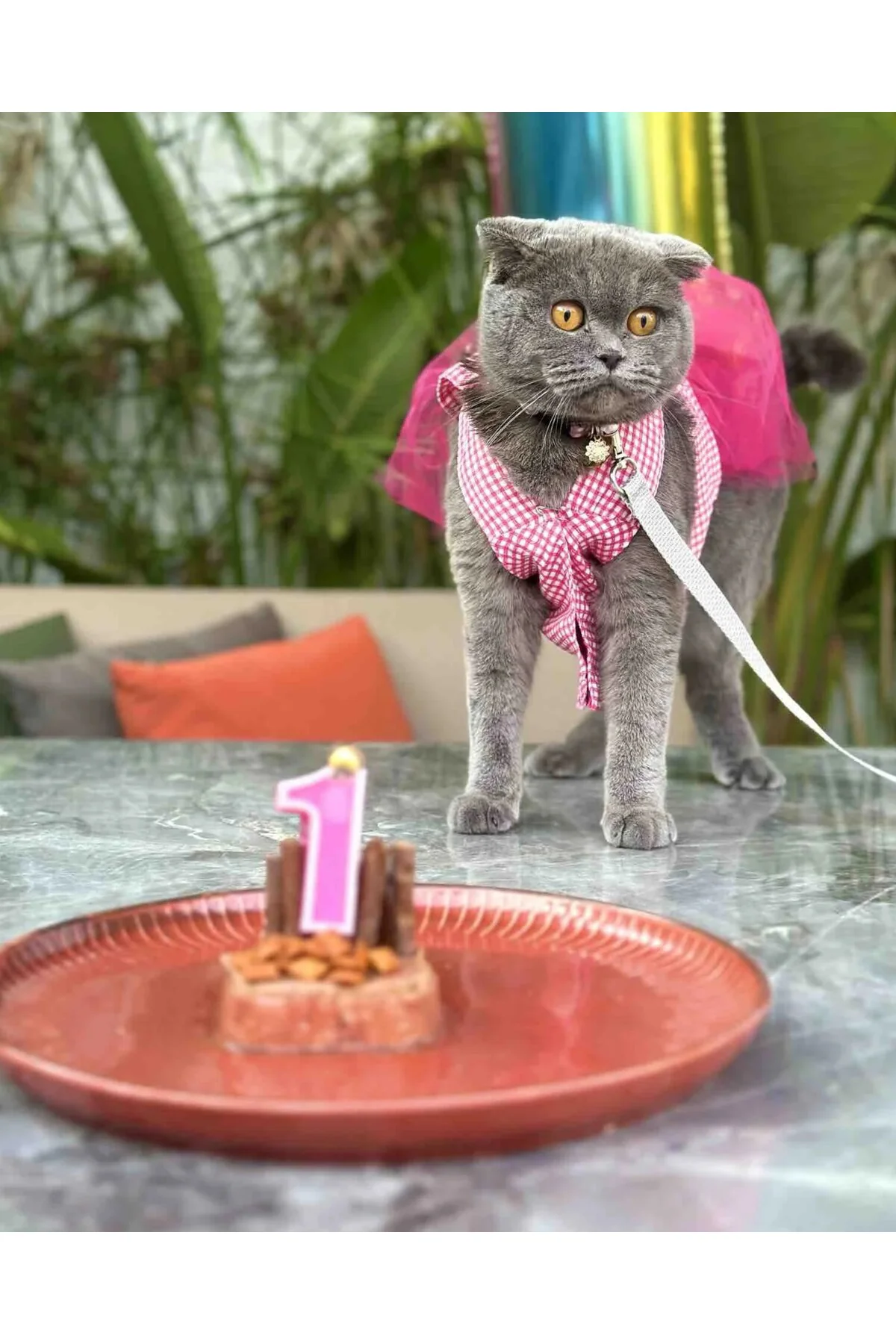 Pembe Kareli Fiyonklu Tüllü Kedi Köpek Kıyafeti Elbisesi XSMALL/X
