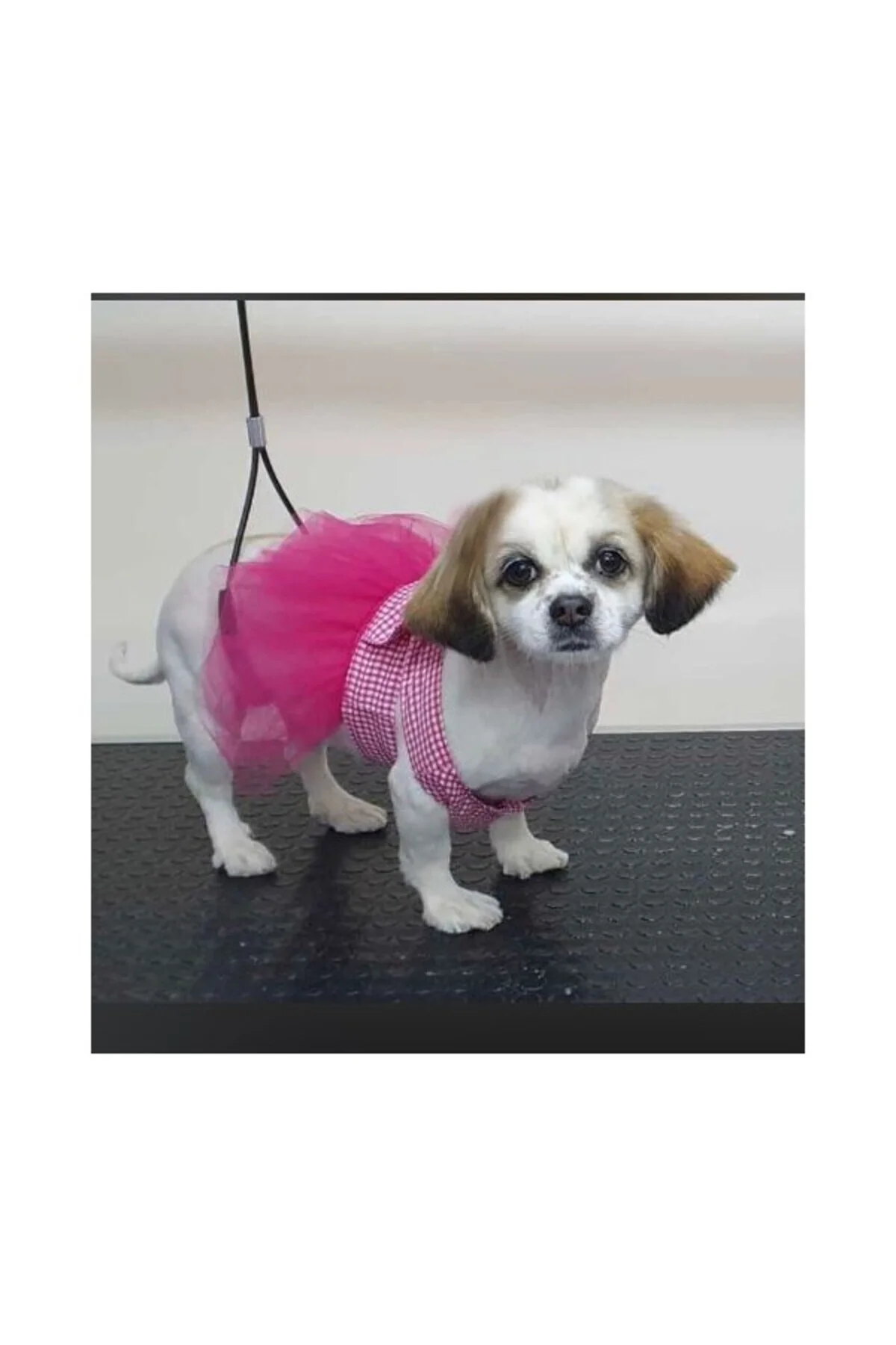 Pembe Kareli Fiyonklu Tüllü Kedi Köpek Kıyafeti Giyimi Medium/M/B