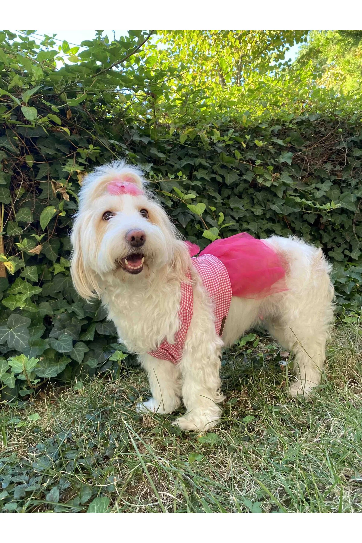 Pembe Kareli Fiyonklu Tüllü Kedi Köpek Kıyafeti Elbisesi XSMALL/X