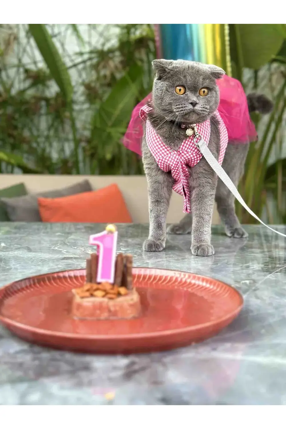 Pembe Kareli Kalpli Tüllü Kedi Köpek Kıyafeti Elbisesi