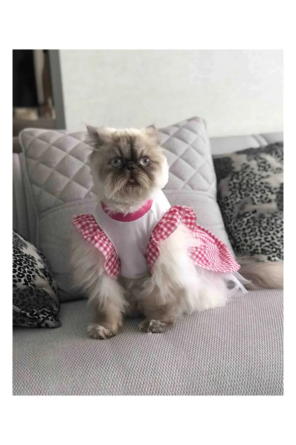 Pembe Kareli Papyonlu Dişi Kedi Köpek Kıyafeti Elbisesi Large/L/B