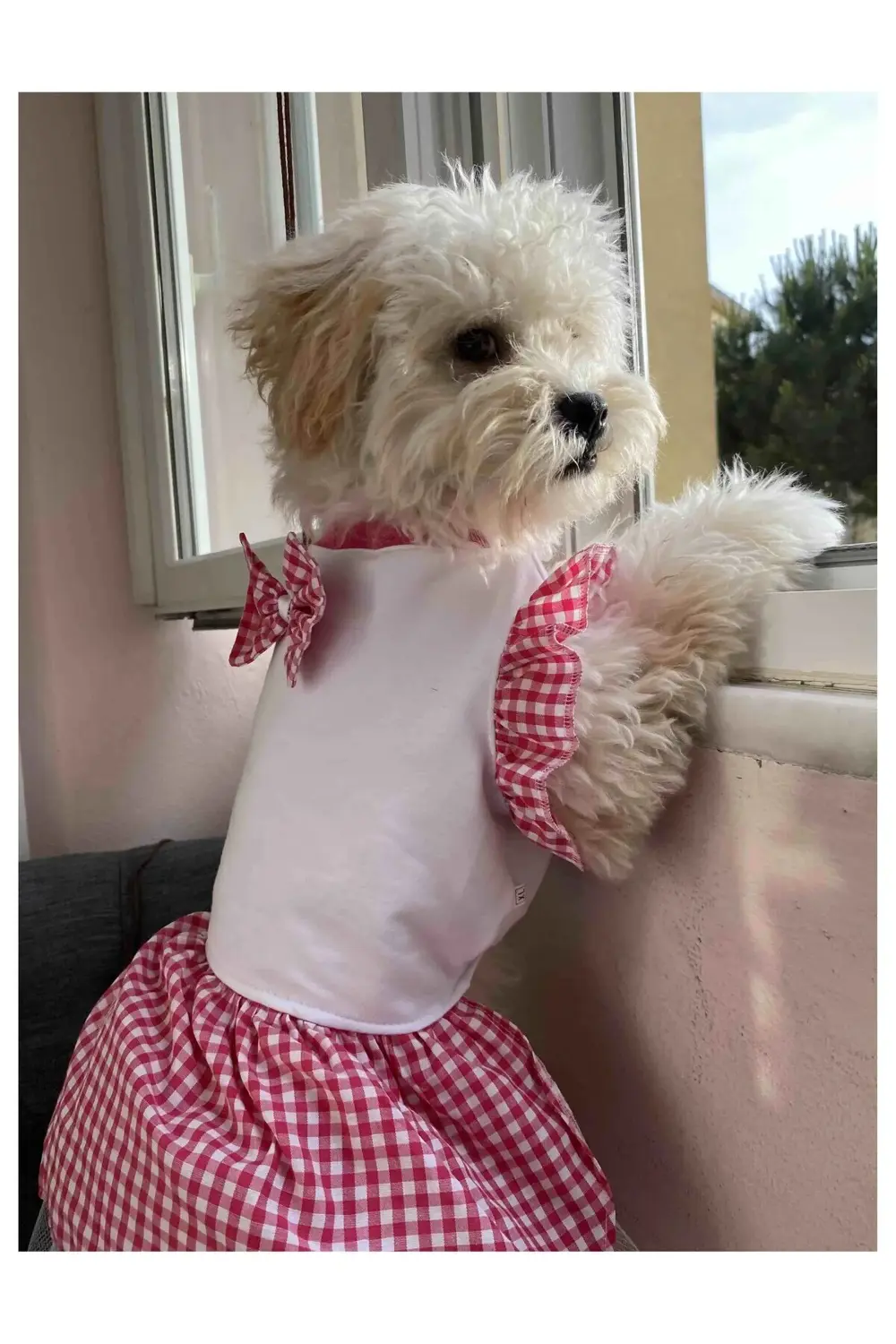 Pembe Kareli Papyonlu Dişi Kedi Köpek Kıyafeti Elbisesi Large/L/B