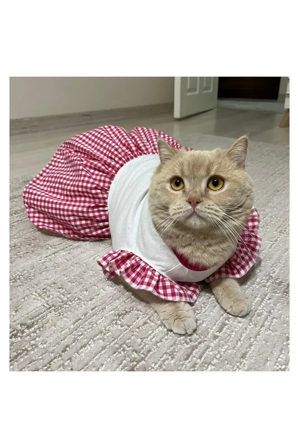 Pembe Kareli Papyonlu Dişi Kedi Köpek Kıyafeti Elbisesi Large/L/B