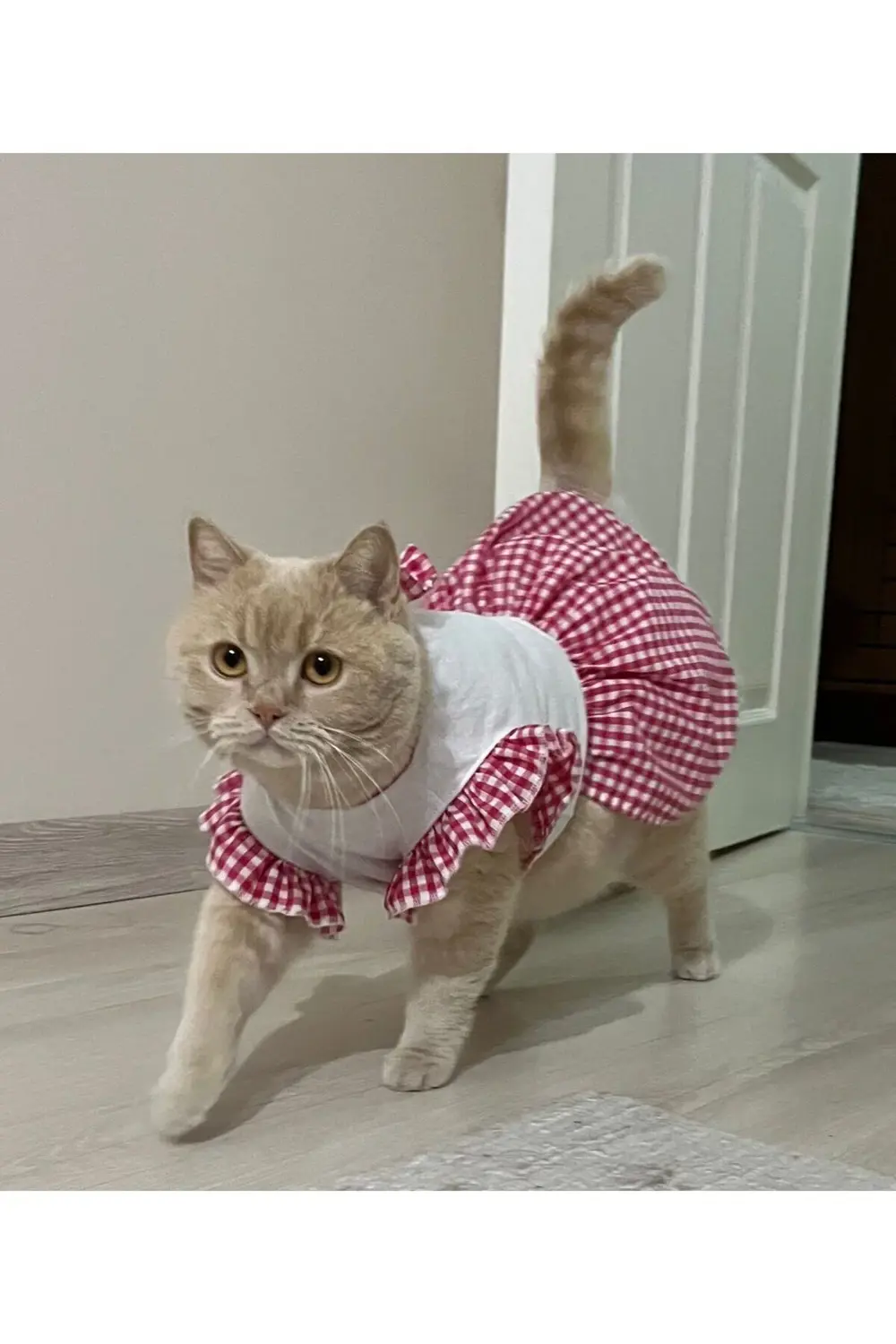 Pembe Kareli Papyonlu Dişi Kedi Köpek Kıyafeti Elbisesi Large/L/B