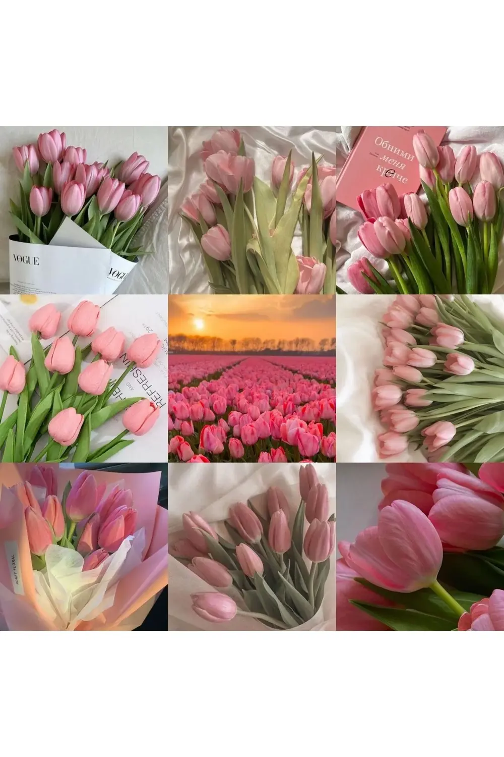 Pembe Lale soğanı 10 Adet