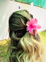 Tükkan Accessories Pembe Lotus Çiçek Parlak Akrilik Kadin Vintage Mandal Toka-Mantok Tükkan Accessories Pembe Lotus Çiçek Parlak Akrilik Kadin Vintage Mandal Toka-Mantok