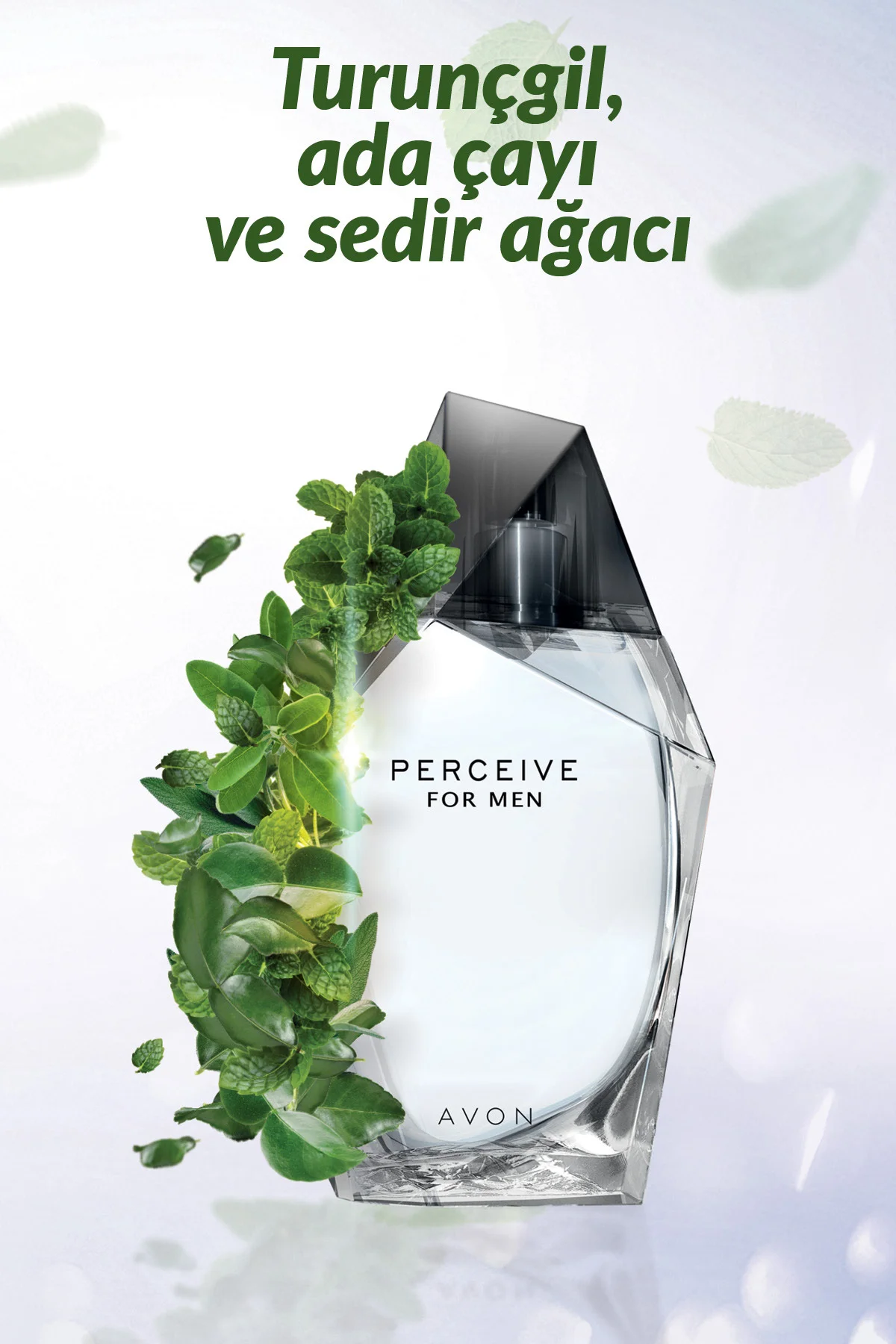 Perceive Erkek Parfüm Edt 100 Ml. Perceive Erkek Parfüm Edt 100 Ml.