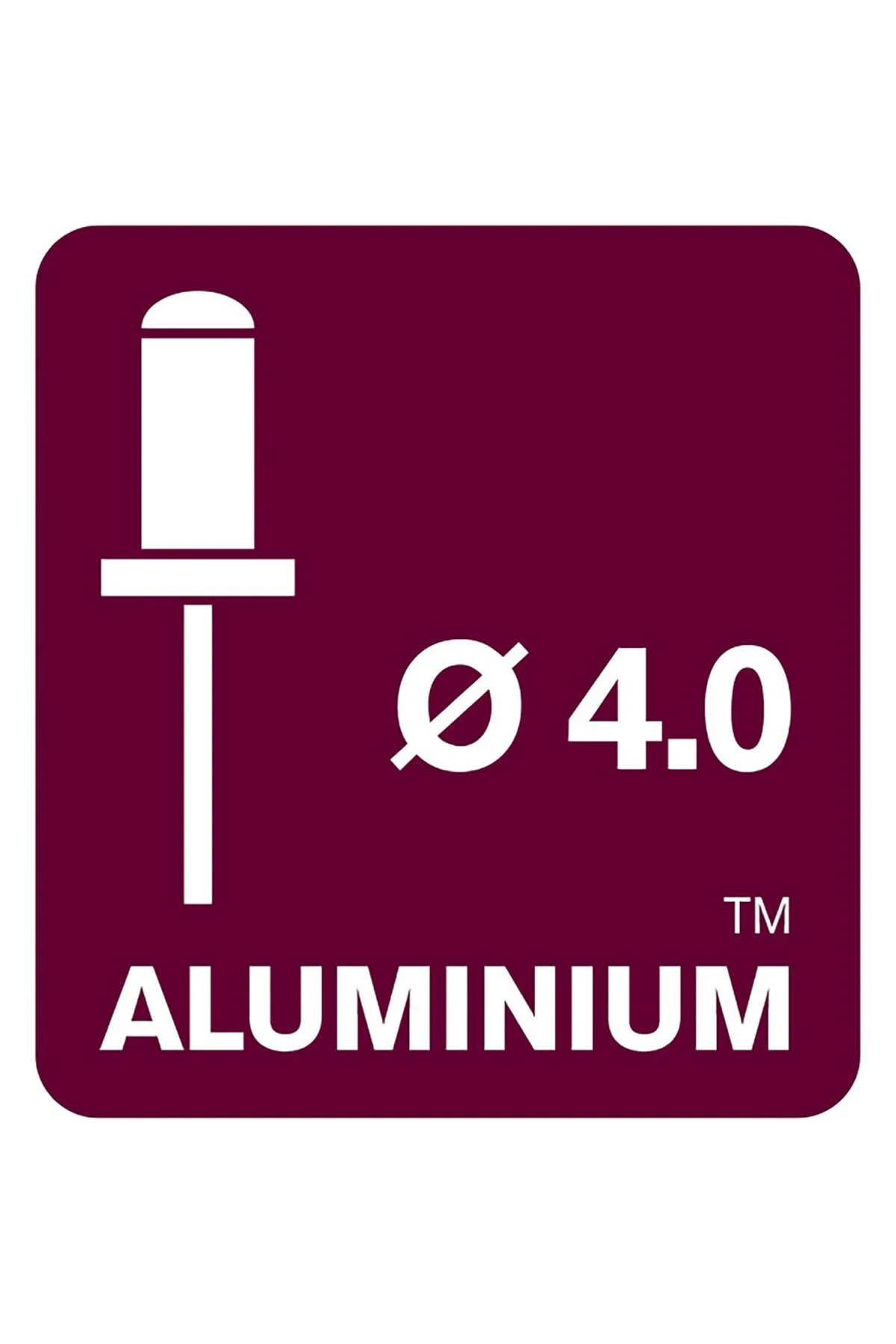 Percin 4X12 mm Aluminym 100 Adet