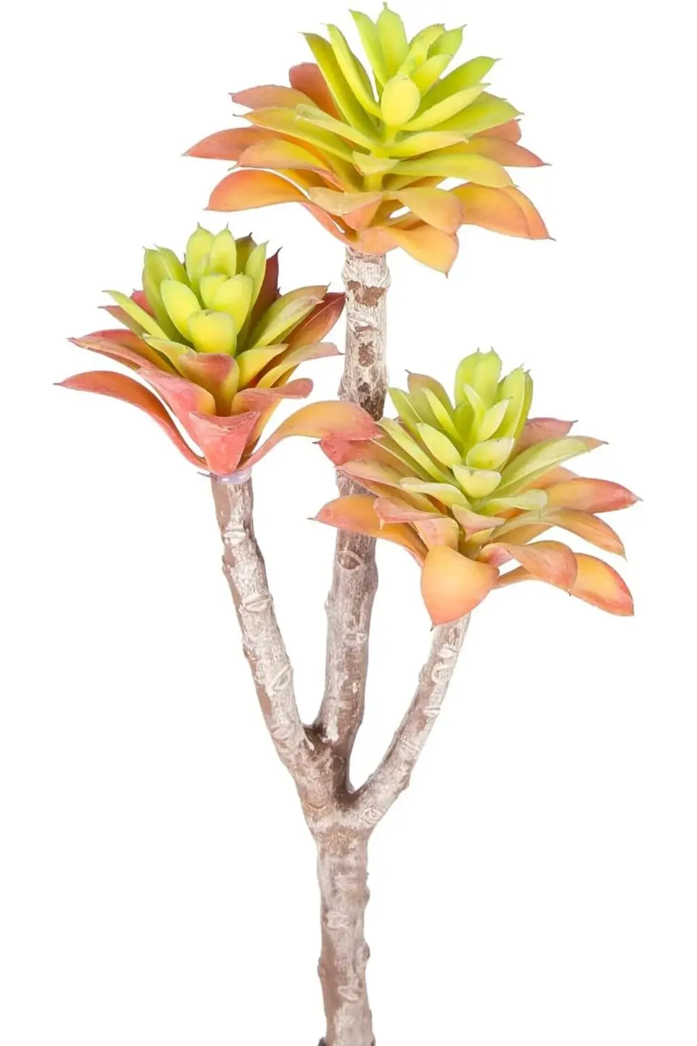 peristore Yapay Kaktüs Sukulent Kırmızı/Yeşil 35 Cm bymaxxstore 1