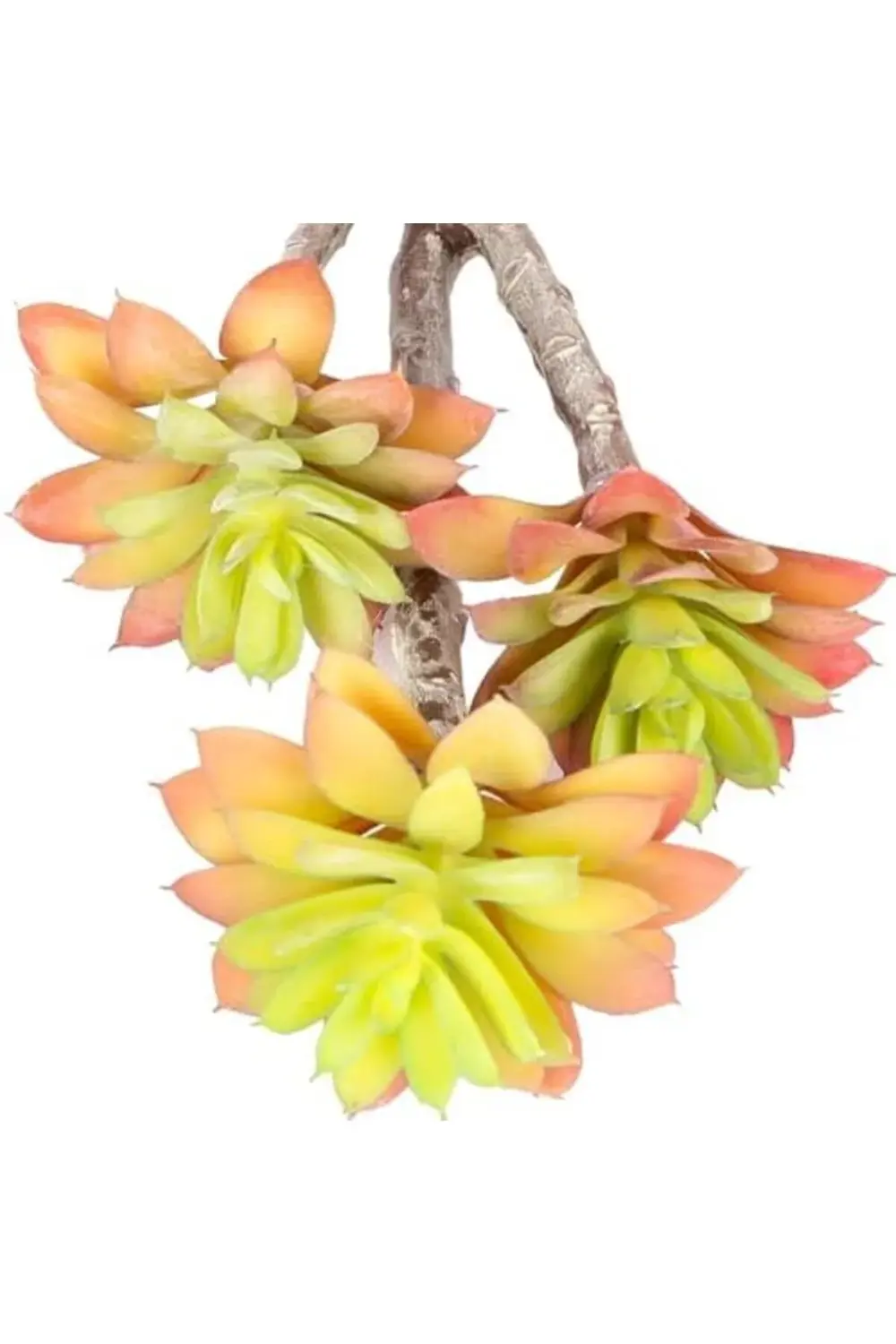 peristore Yapay Kaktüs Sukulent Kırmızı/Yeşil 35 Cm bymaxxstore 1