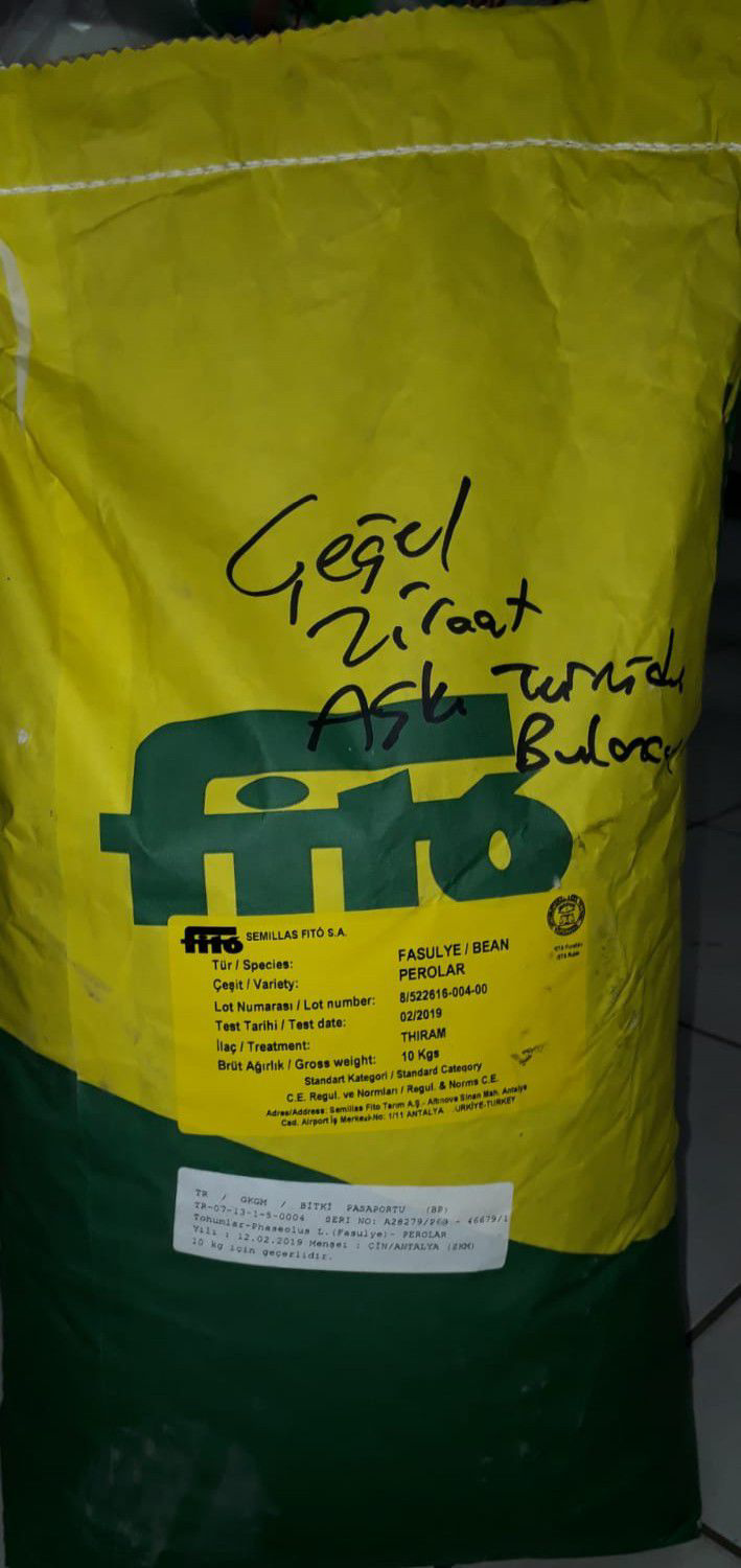 Perolar ( Fito) Sırık Fasulye Tohumu  10 Kg.