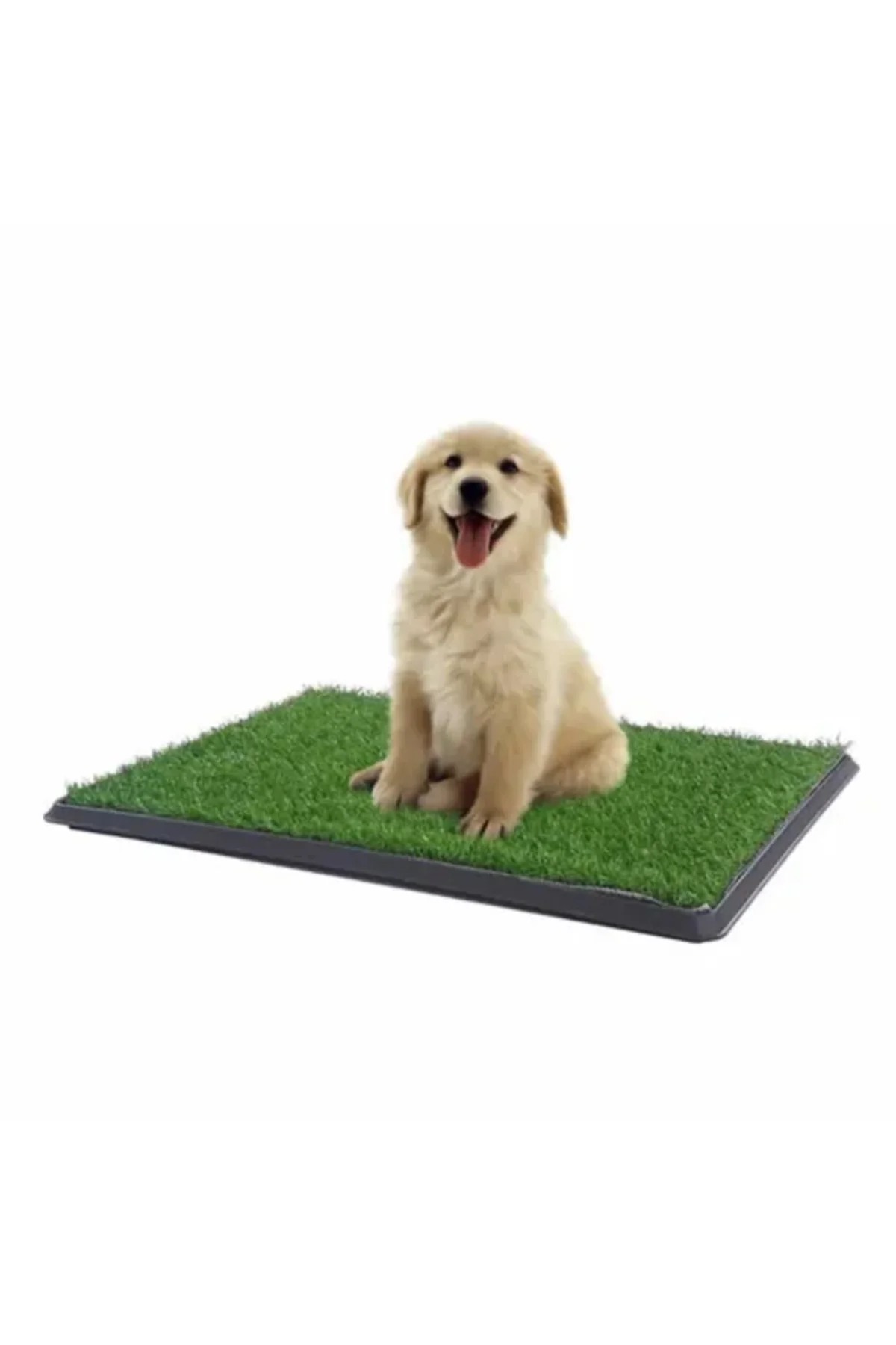 Pet Park Mini Yavru Köpek Tuvalet Eğitimi ILKELGRP-ET445