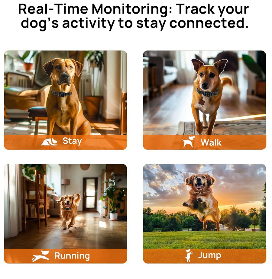 Petainer T800Pro Köpek eğitim tasması Havlama Önleyici elektronik çit 