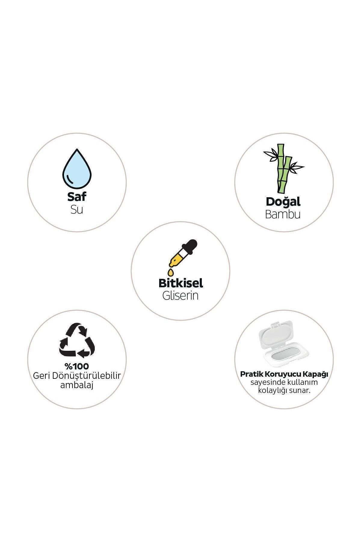 Petcare Evcil Hayvan Islak Havlusu 12x60 Yaprak