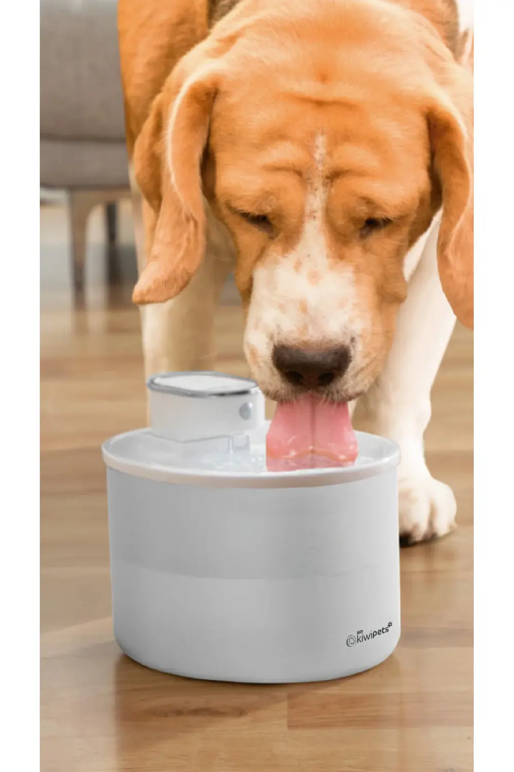 Pets Sensörlü Kedi Köpek Su Pınarı 1 Metre Algılama Mesafeli Kpf-