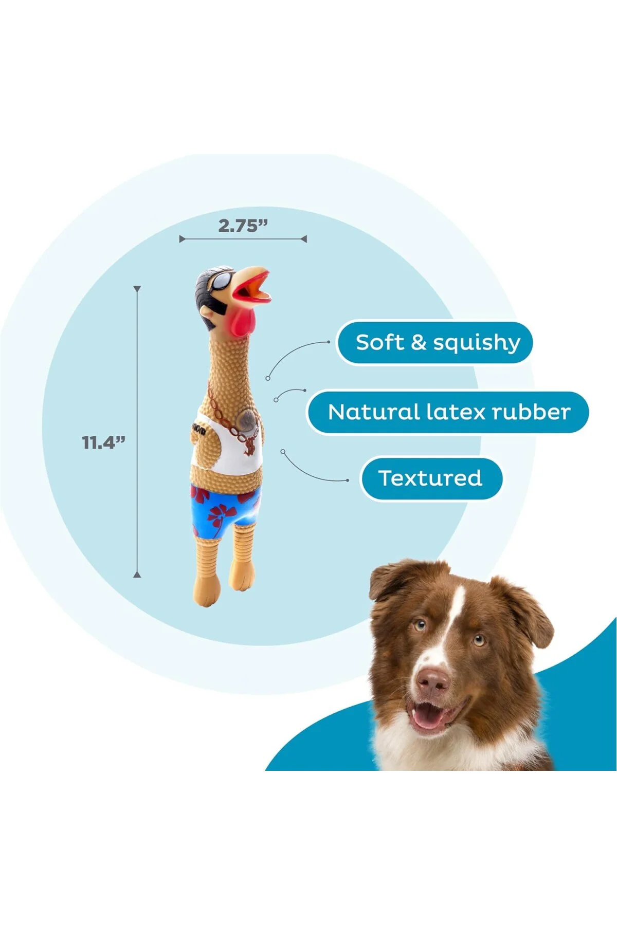 Petstages 69501M Earl - Lateks Tavuk - Squeaker ile Köpek Oyuncak