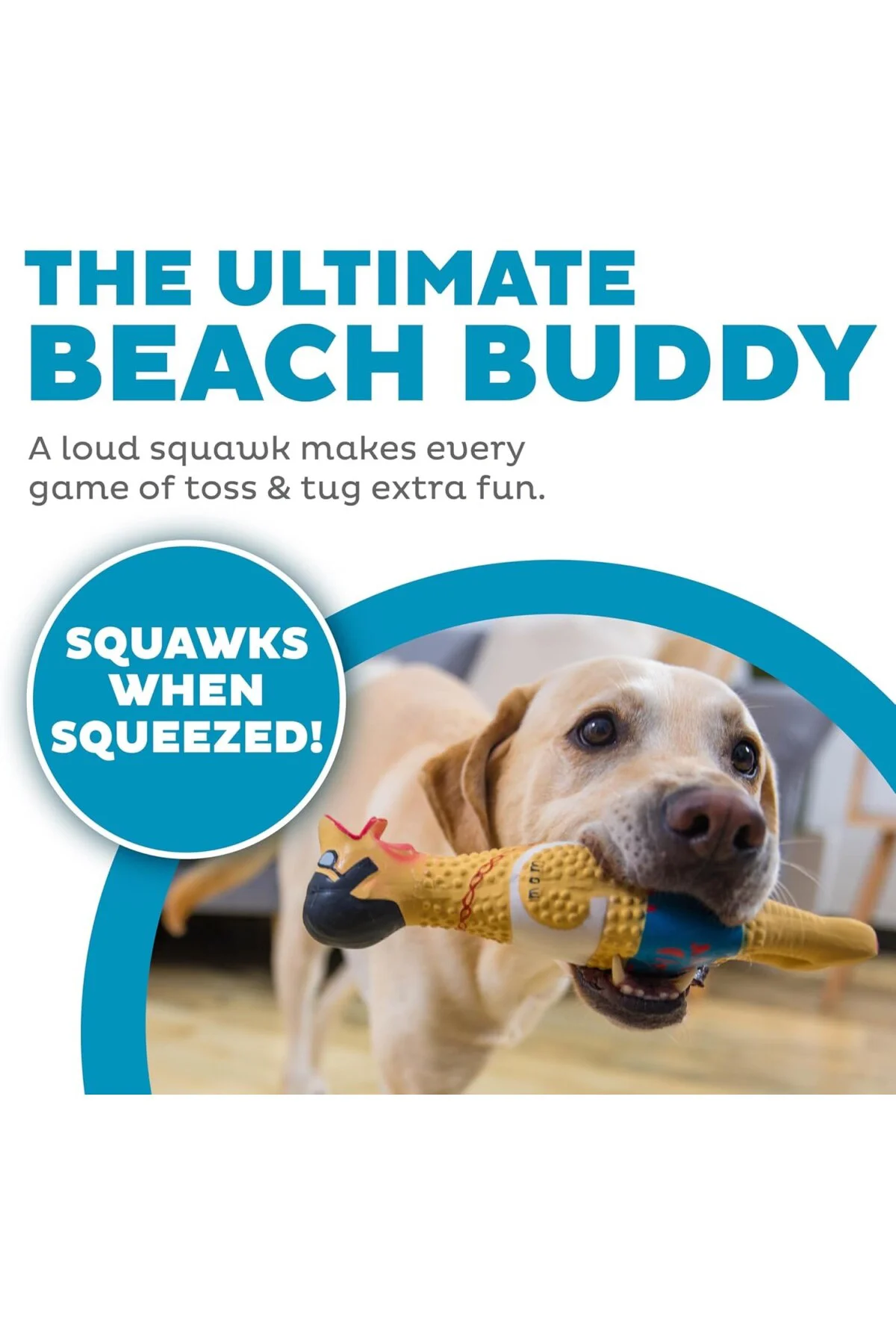 Petstages 69501M Earl - Lateks Tavuk - Squeaker ile Köpek Oyuncak