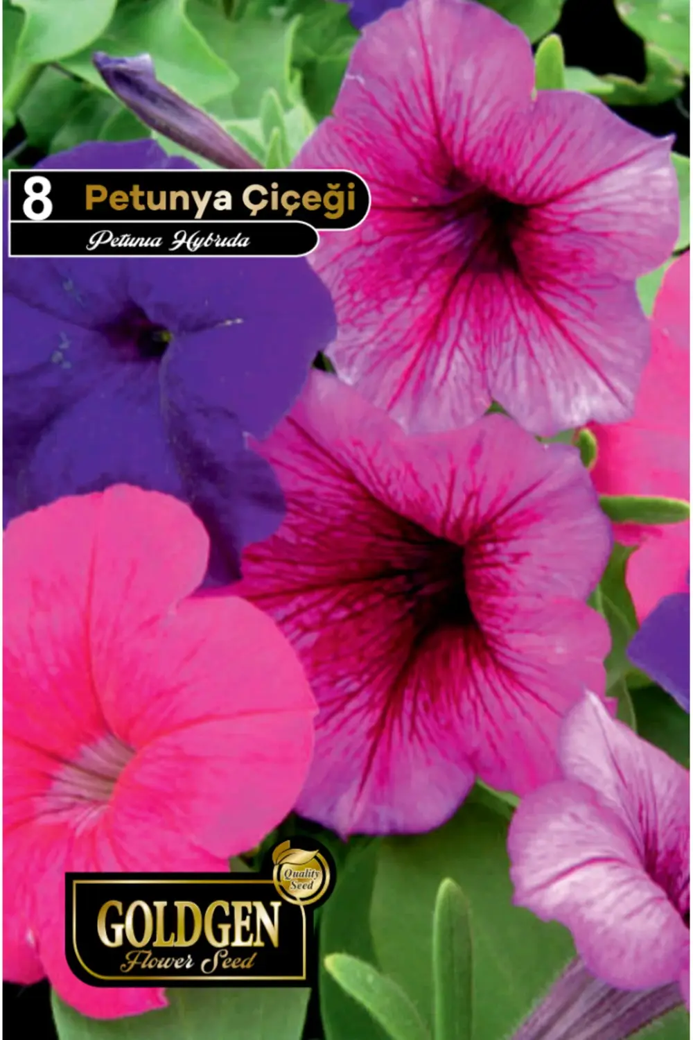Petunya Çiçeği Tohumu