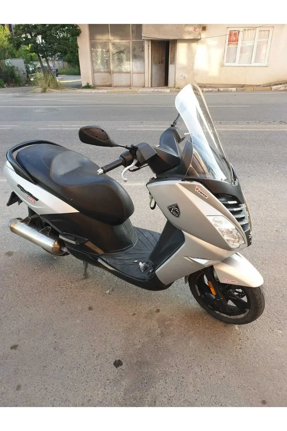 Peugeot Citystar 200 Ön Cam 2017 2018 Model 56cm Şeffaf Renkli 4m