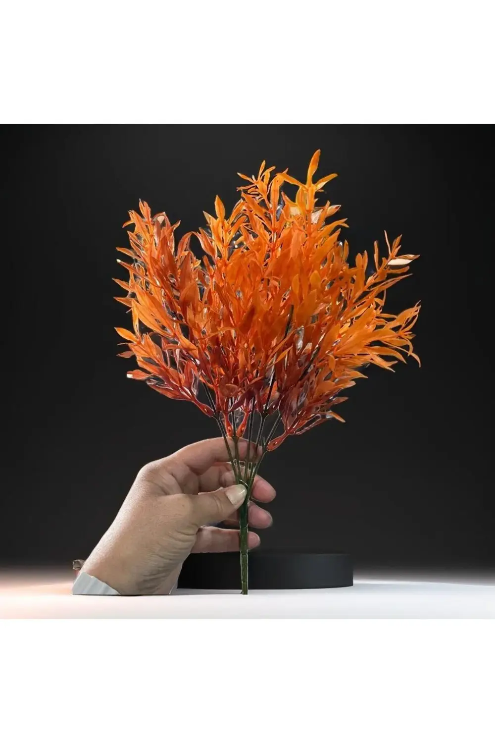 Picanti - Cam Matara 500 Ml