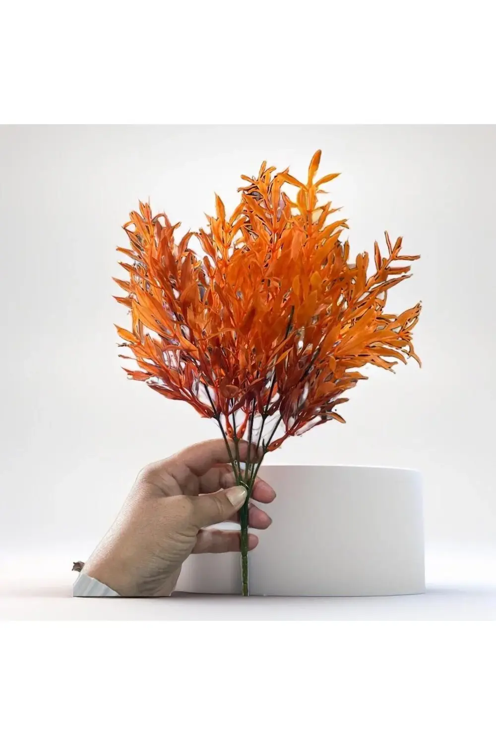 Picanti - Cam Matara 500 Ml