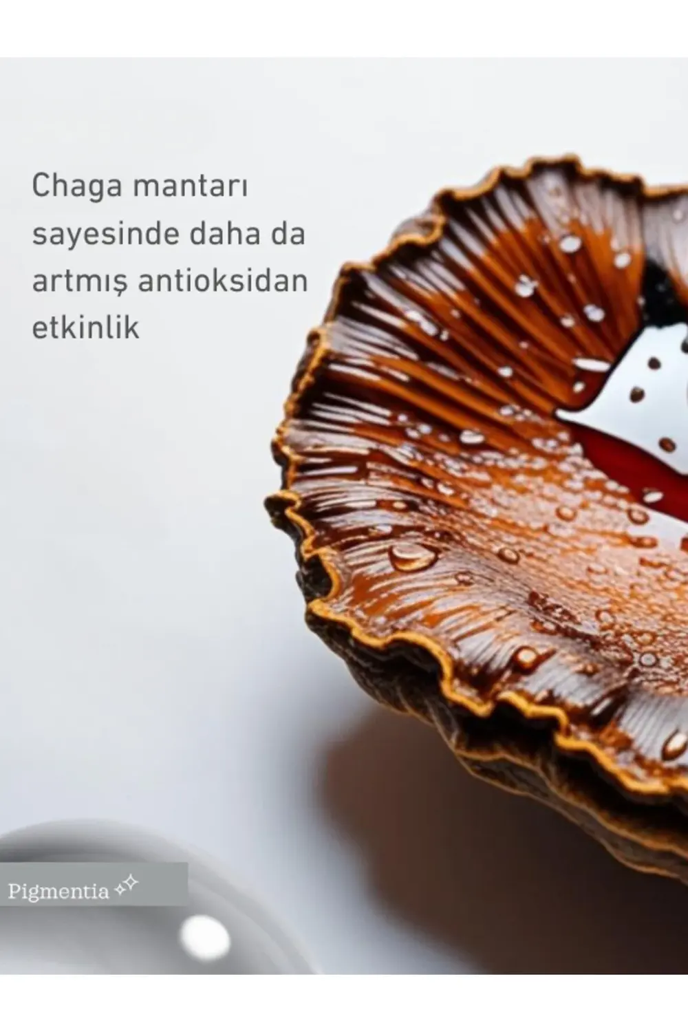 Pigmentia Aydınlatıcı Göz Çevresi Kremi