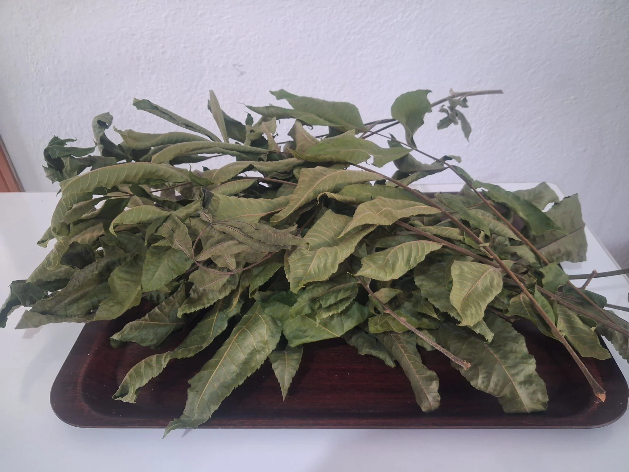 Pikan Ceviz Yapragı Kurusu 90690  Özel Gölgede Kurutulmuş 300 gr 