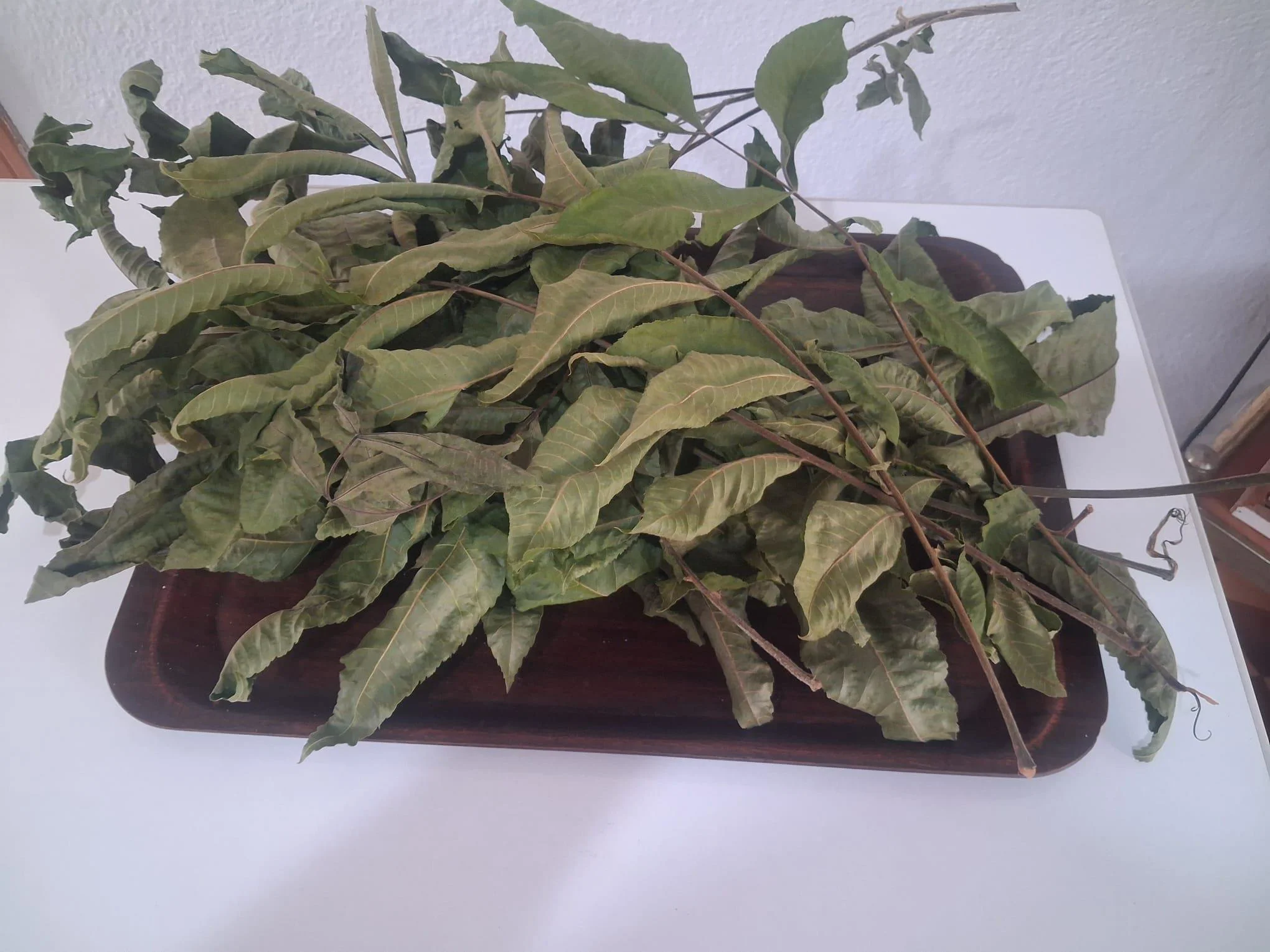 Pikan Ceviz Yapragı Kurusu 90690  Özel Gölgede Kurutulmuş 300 gr 