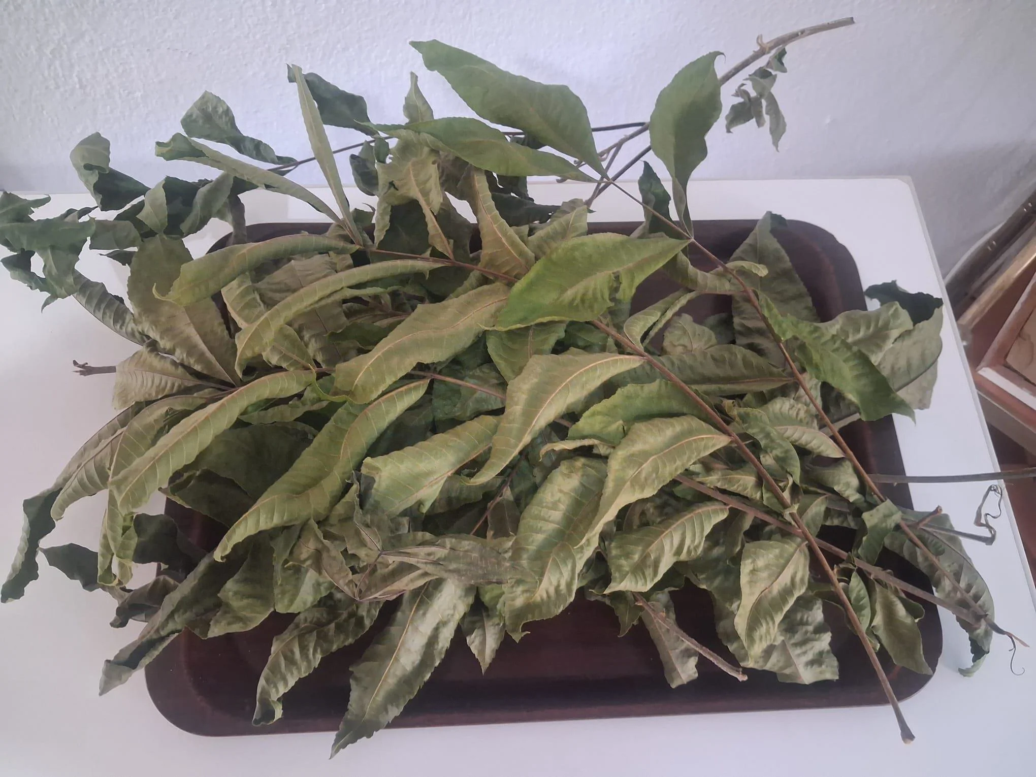 Pikan Ceviz Yapragı Kurusu 90690  Özel Gölgede Kurutulmuş 300 gr 