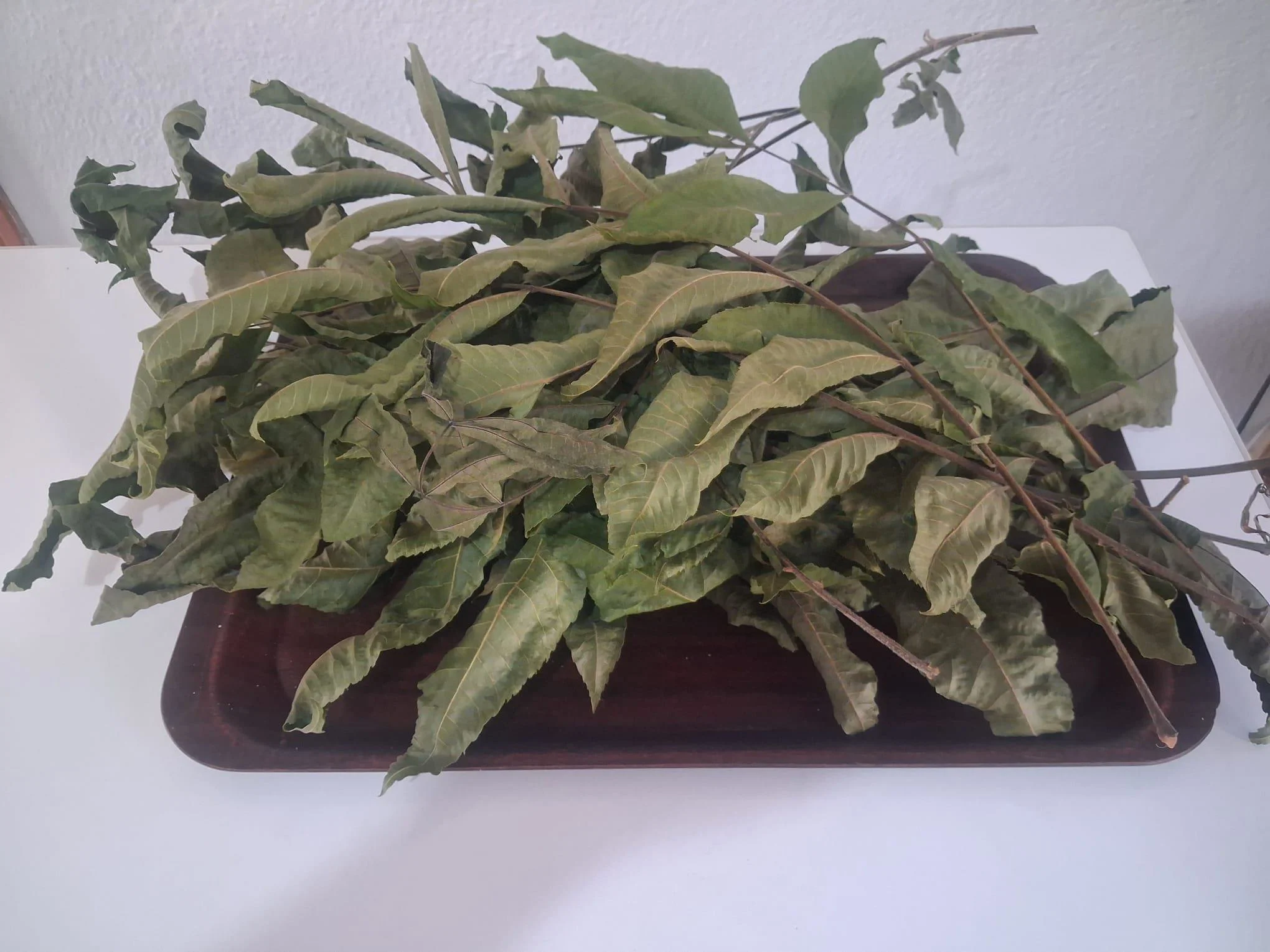 Pikan Ceviz Yapragı Kurusu 90690  Özel Gölgede Kurutulmuş 300 gr 