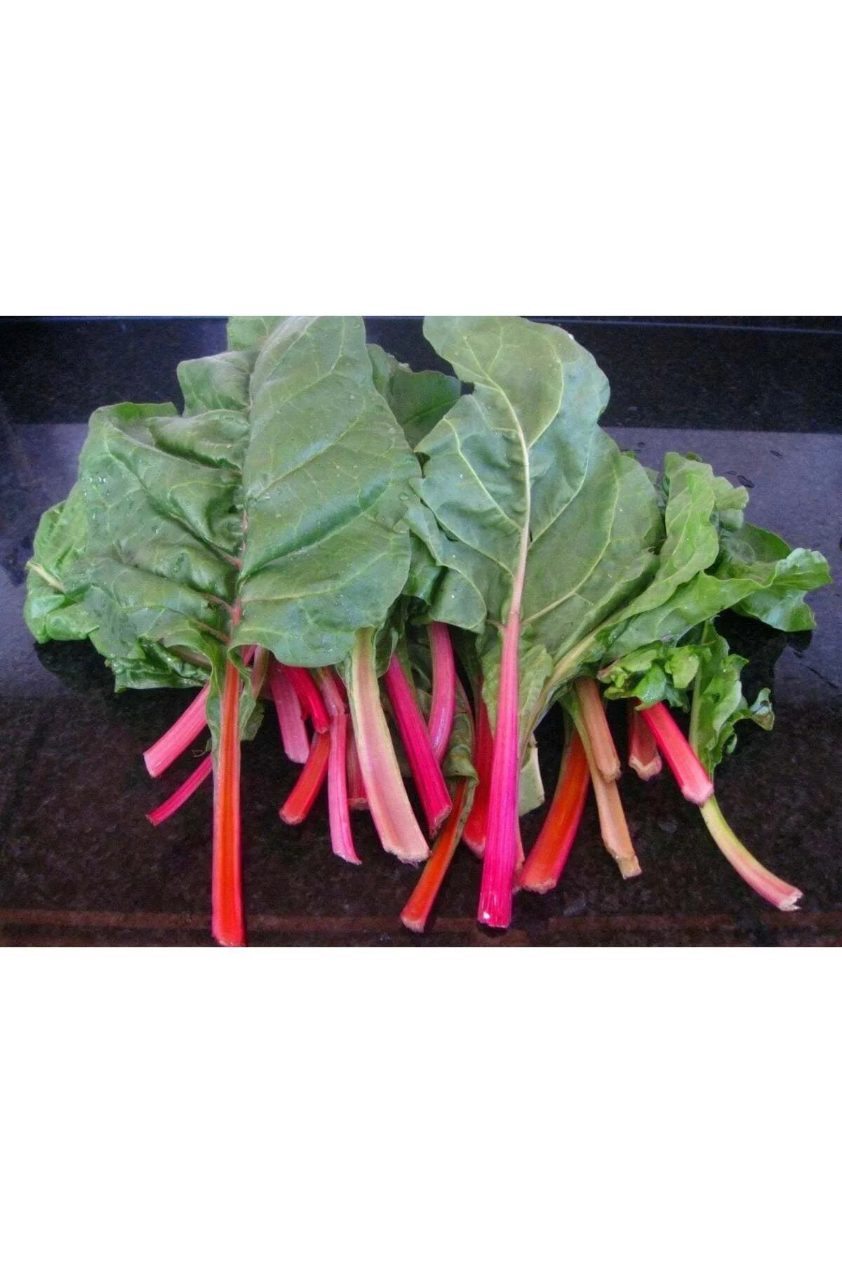 Pink lipstick pembe pazı tohumu chard Pink lipstick pembe pazı tohumu chard