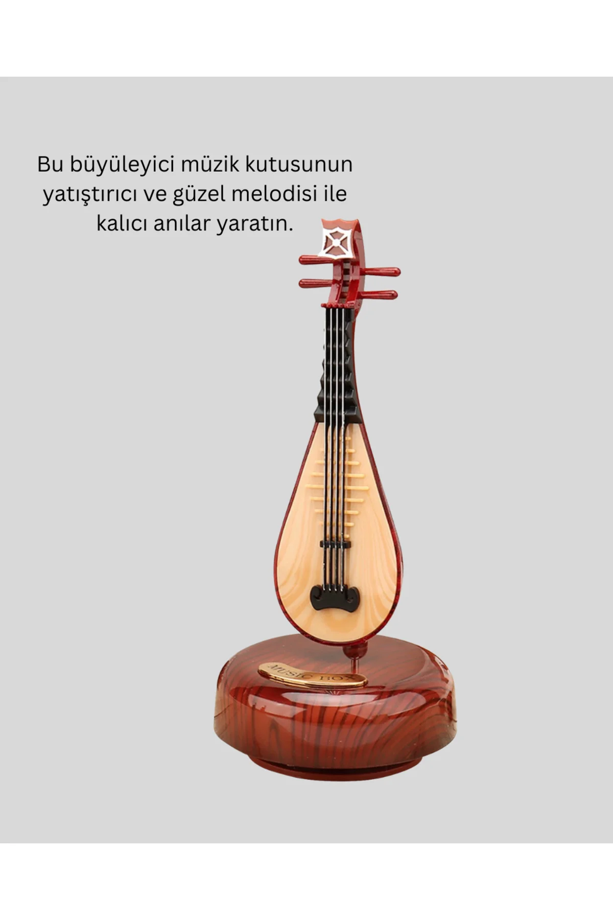 PİPA MÜZİK KUTUSU - Lisinya