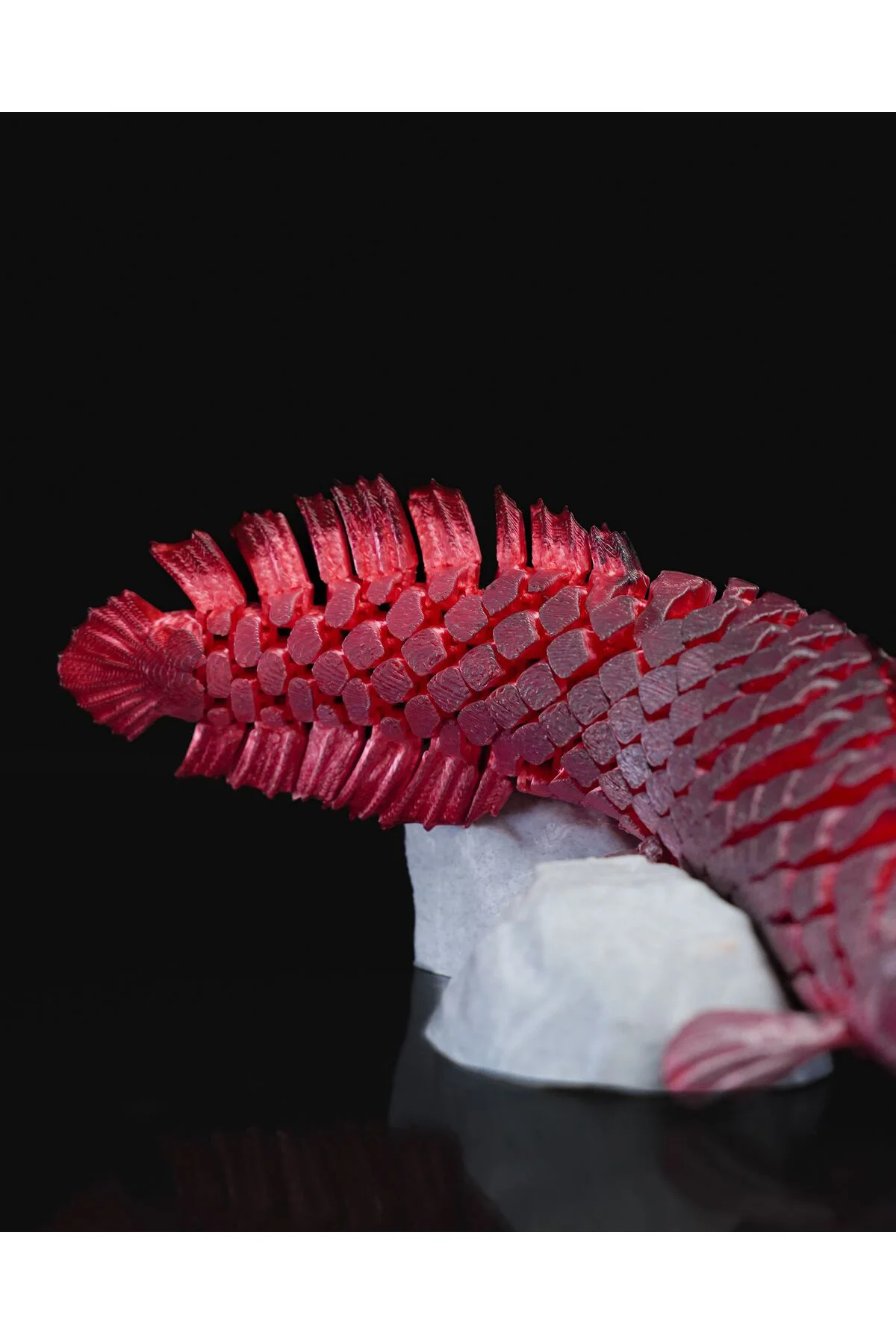 Pirarucu Arapaima Balığı Dekoratif Obje Kırmızı Balık Hareketli Oyuncak 20CM