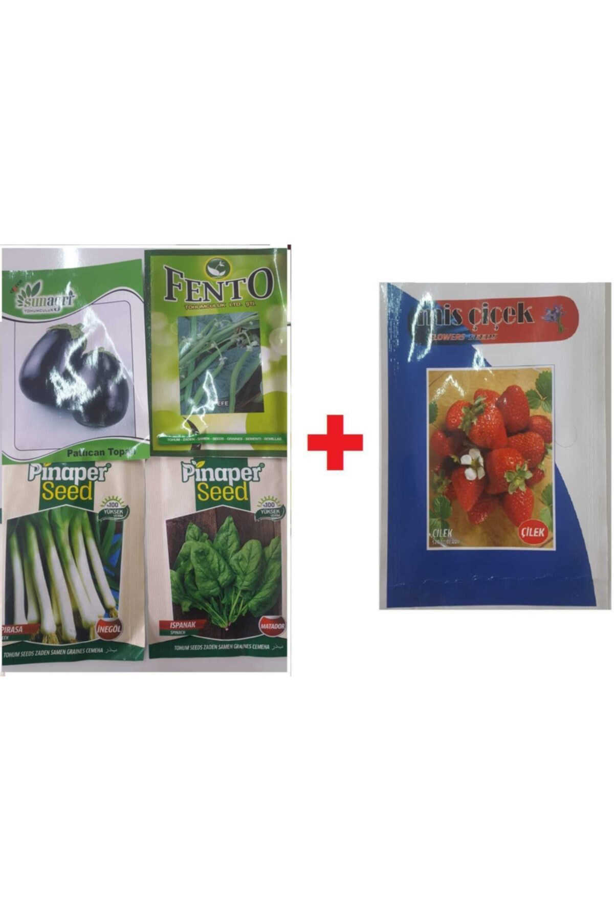 Pırasa Tohumu + Fasulye Tohumu+Patlıcan Tohumu + Ispanak Tohumu