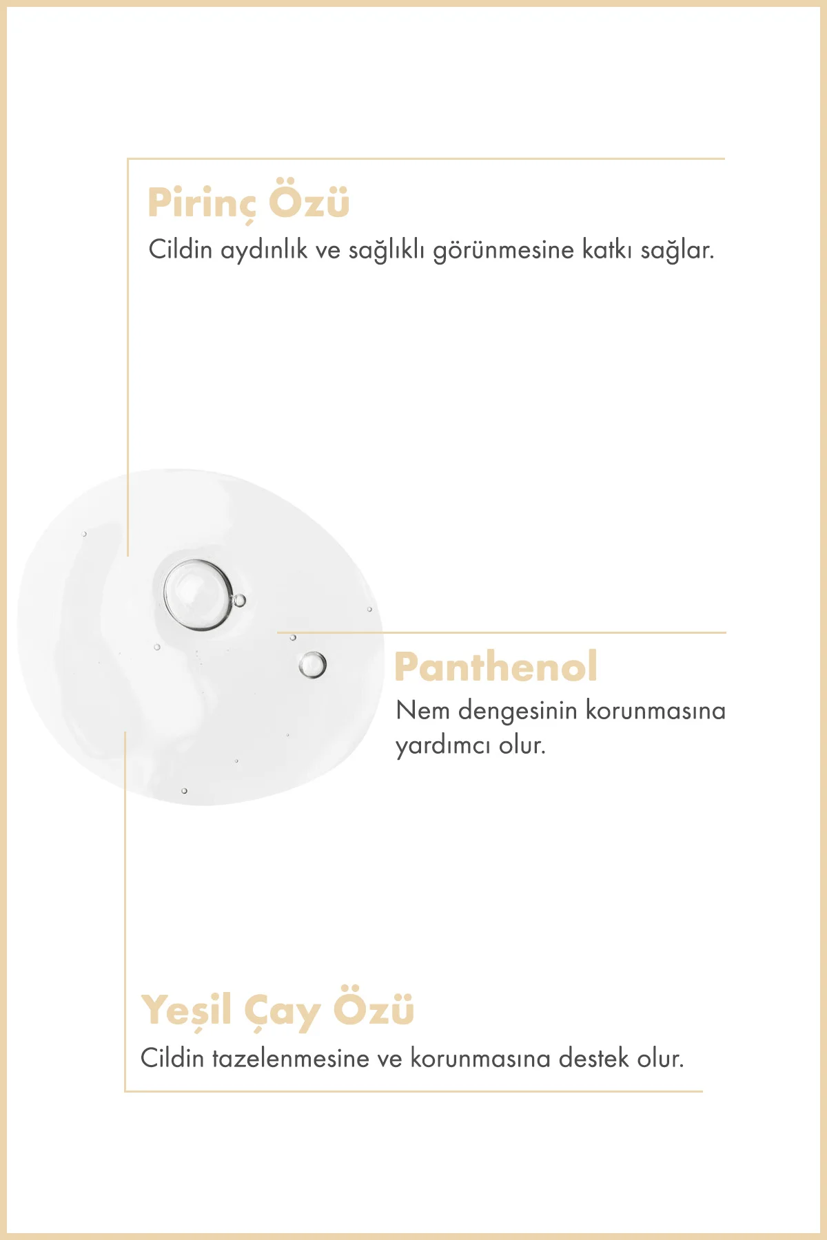 Pirinç Özlü Aydınlatıcı Yüz Temizleme Jeli 200 ML Pirinç Özlü Aydınlatıcı Yüz Temizleme Jeli 200 ML - Görsel 2
