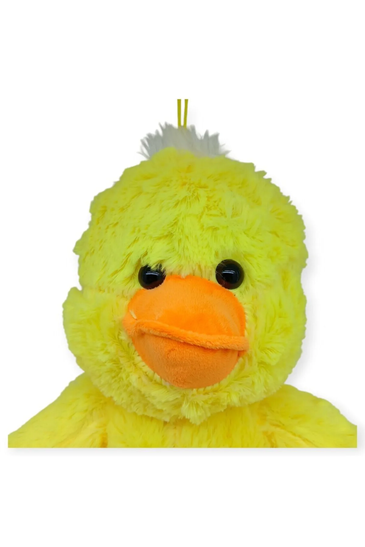 PL62247 - PELUŞ HAYVAN FİGÜRLERİ 40 CM 4 AST (Lisinya)