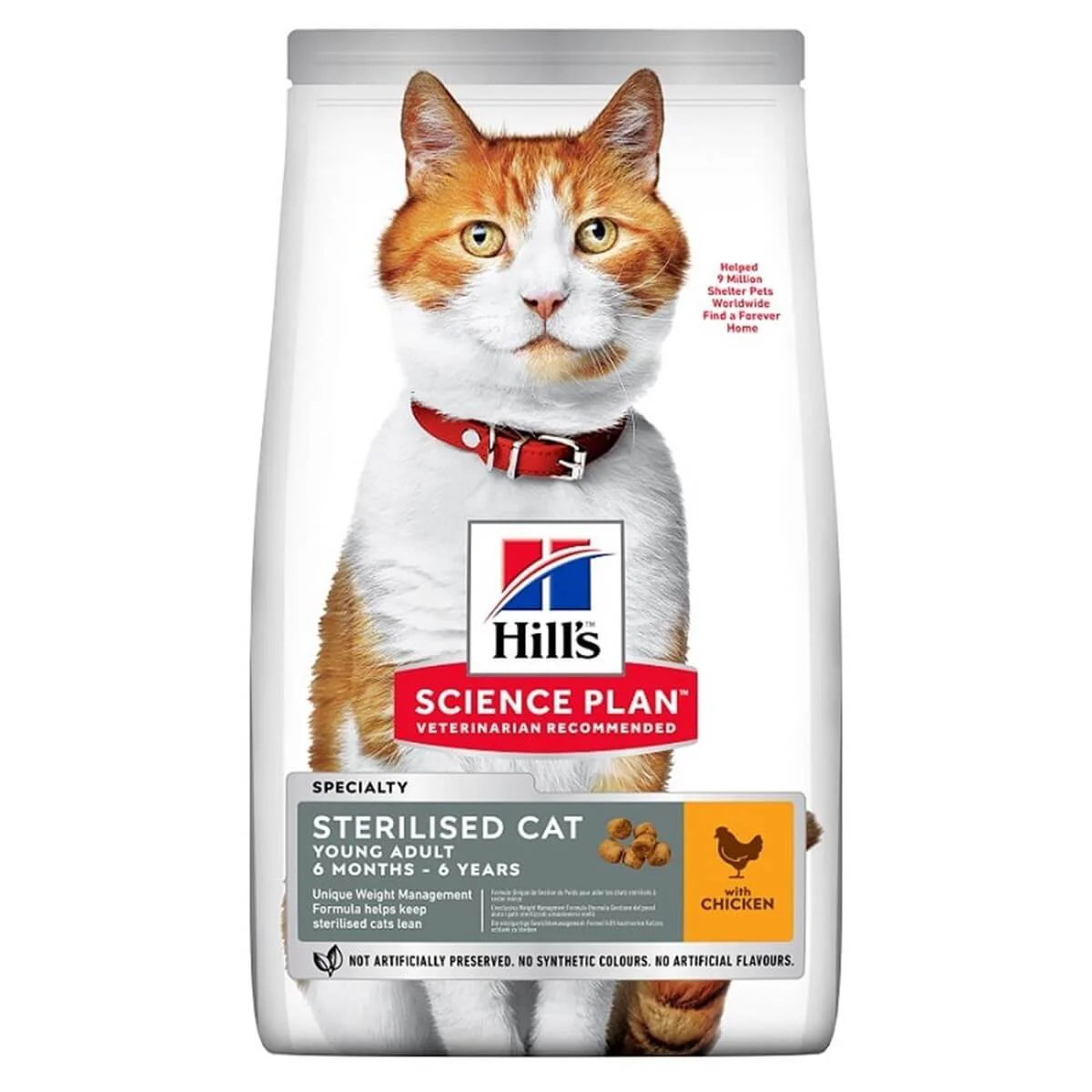 Plan Kısırlaştırılmış Tuklu Kedi sı 1 Kg Fiyatı, Yorumları ve Özellikleri