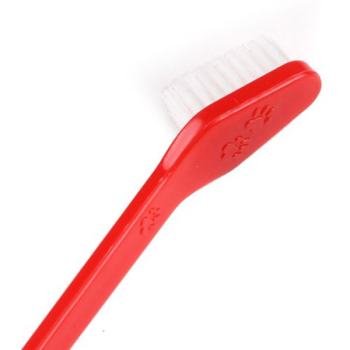 Woody Sofia Plastik Köpek Diş Fırçası 4 Adet