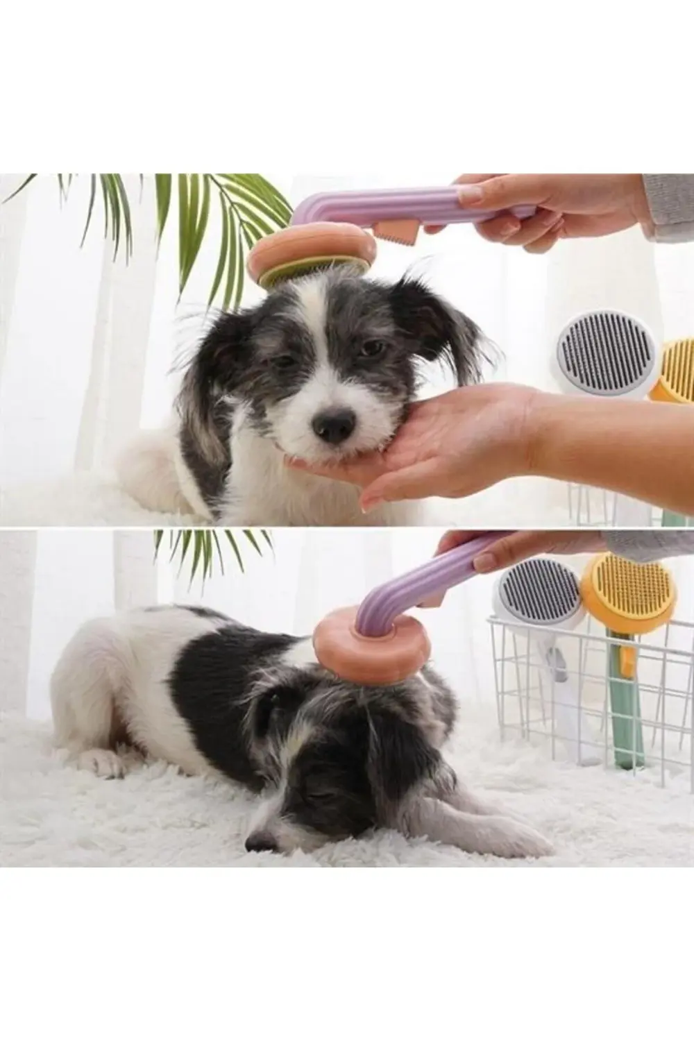 Plastik Yeşil Evcil Hayvan Bakım Pet Fırçası Çok Amaçlı Pet Fırça