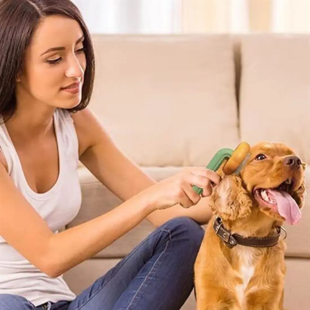 Plastik Yeşil Evcil Hayvan Bakım  Pet Fırçası Çok Amaçlı Pet Fırç