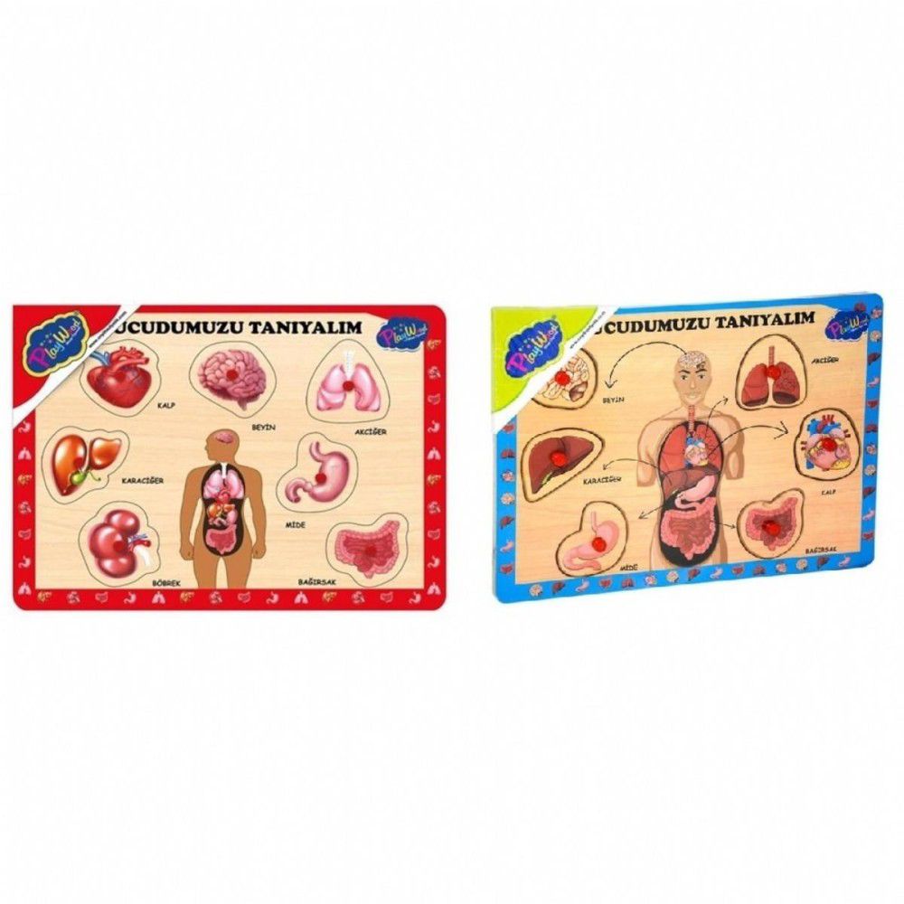 Playwood Ahşap Tutmalı Vücudumuzu Tanıyalım Ony-287/288 Playwood Ahşap Tutmalı Vücudumuzu Tanıyalım Ony-287/288