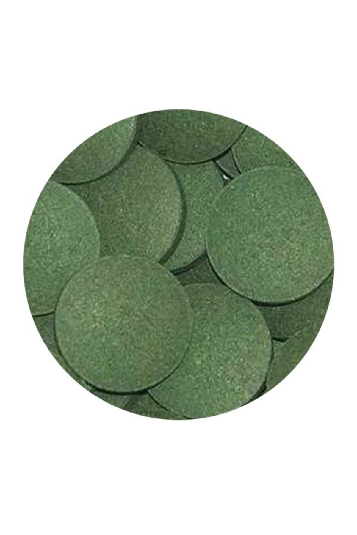 Pleco's Tablets 100gr Açık