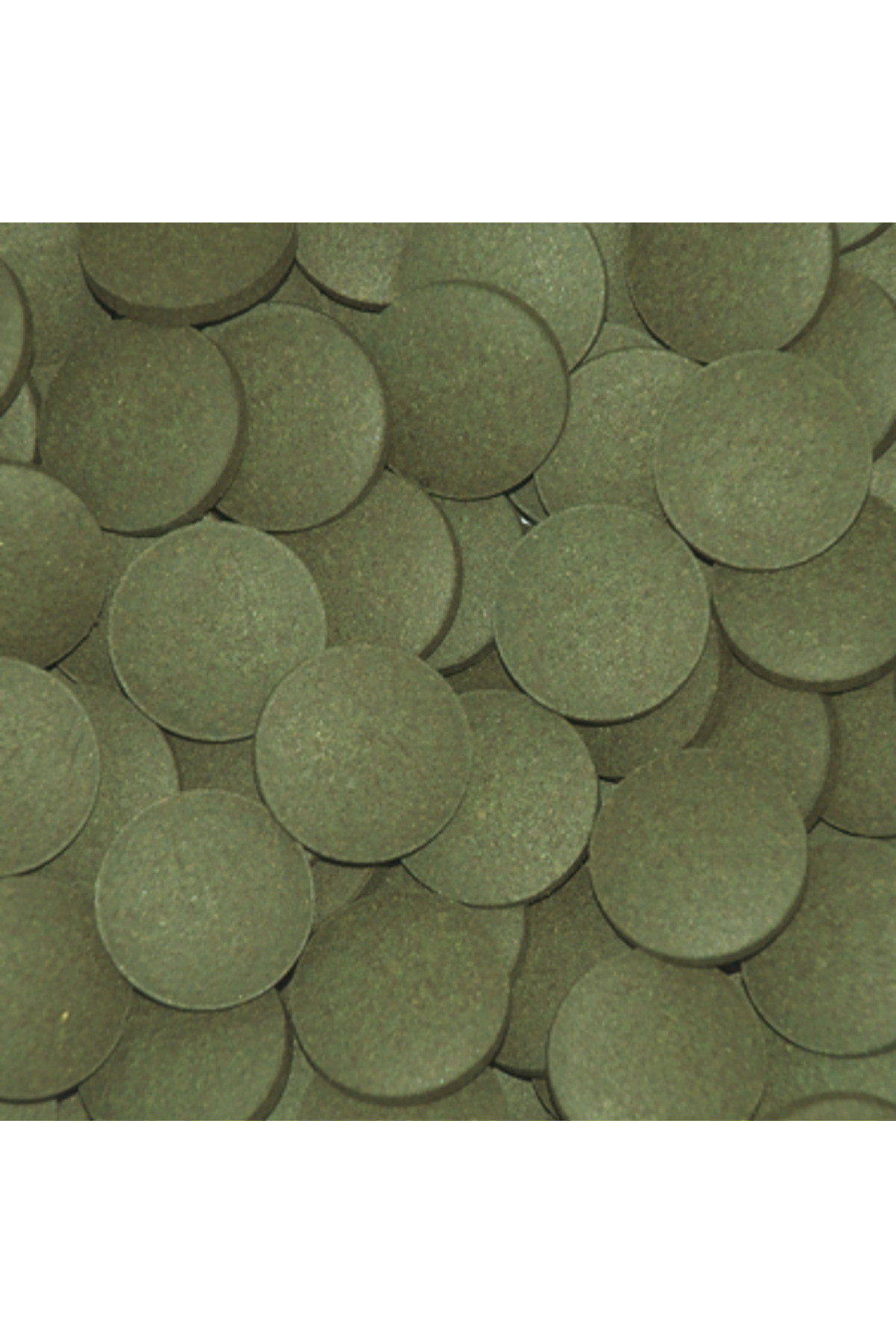 Plecos Tablets 50 Gram Balık Yemi