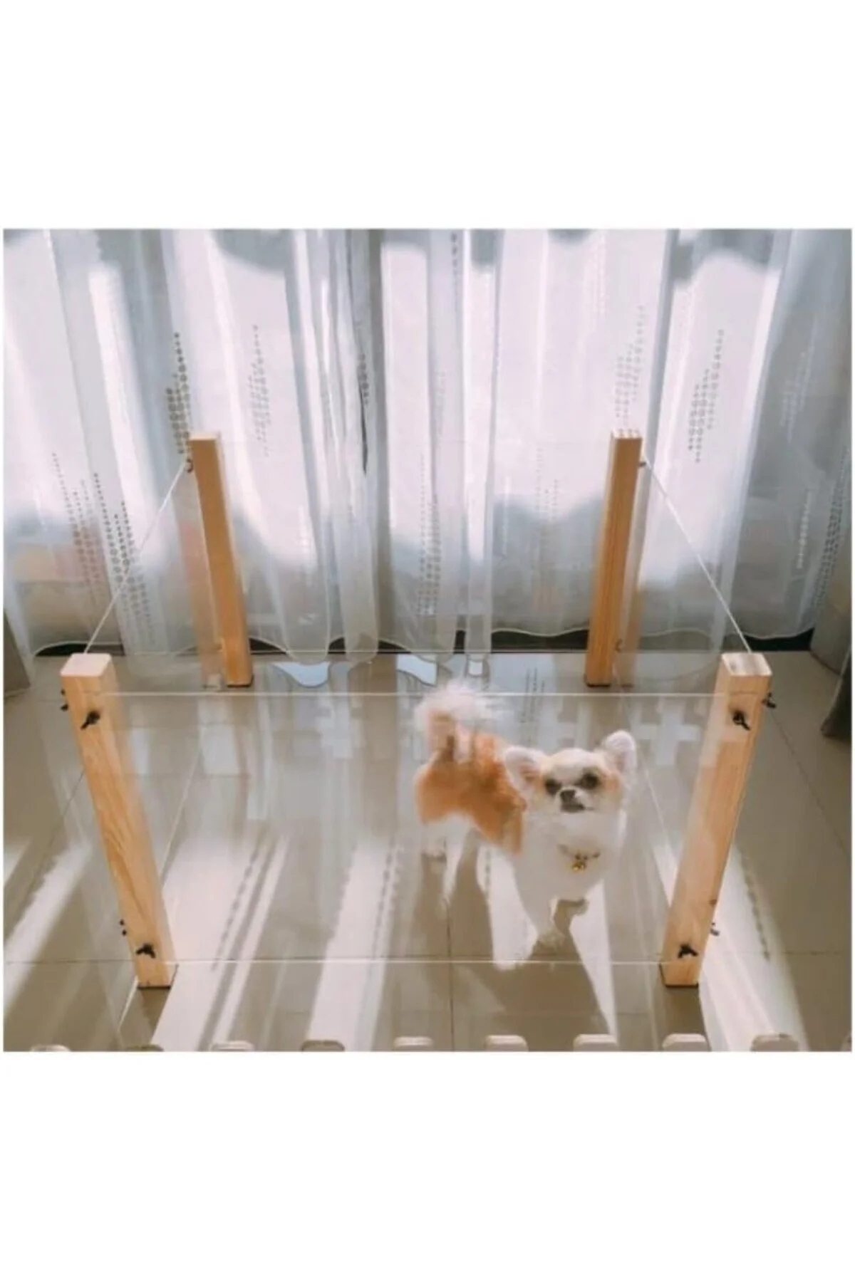 Pleksi Ahşap Köpek Çiti