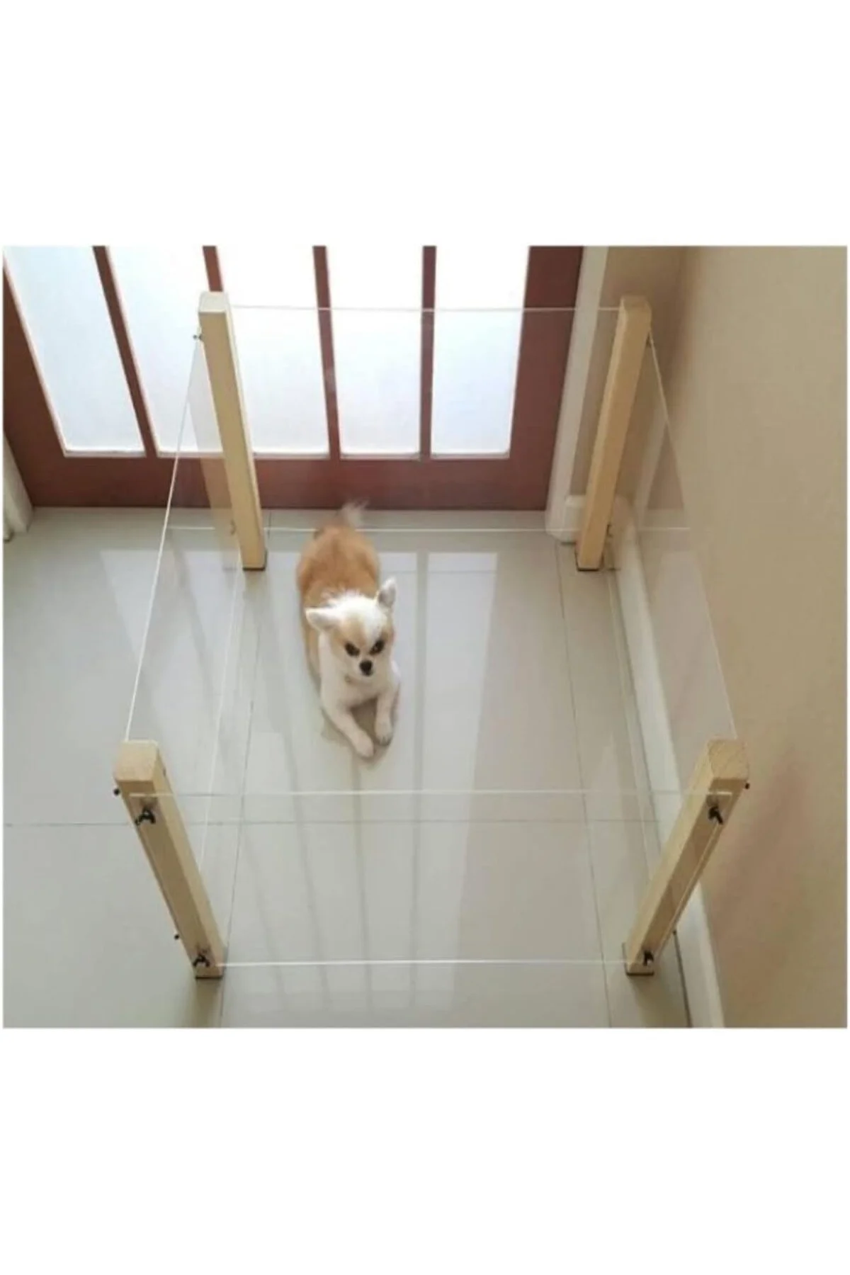 Pleksi Ahşap Köpek Çiti
