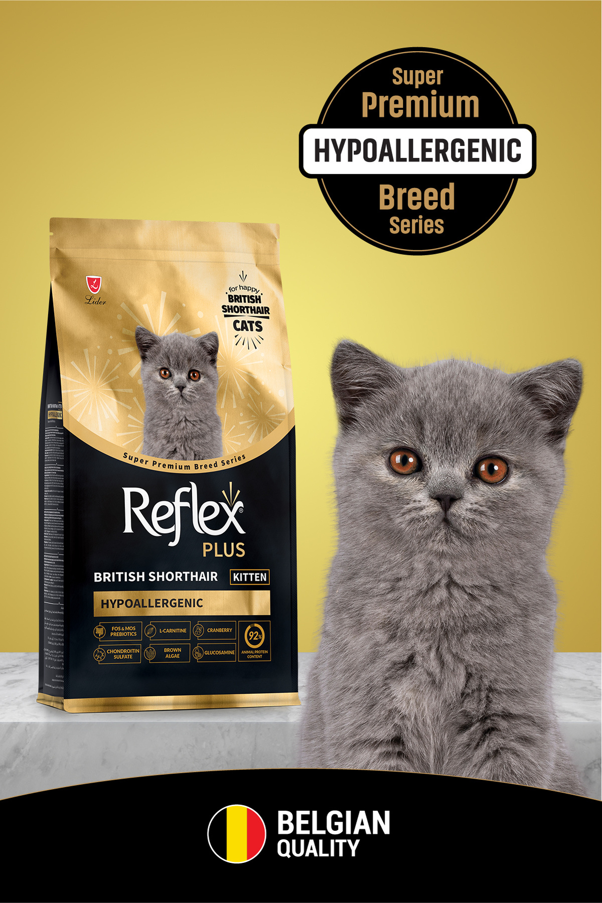 Plus British Shorthair Yavru Kedi Maması 8 Kg