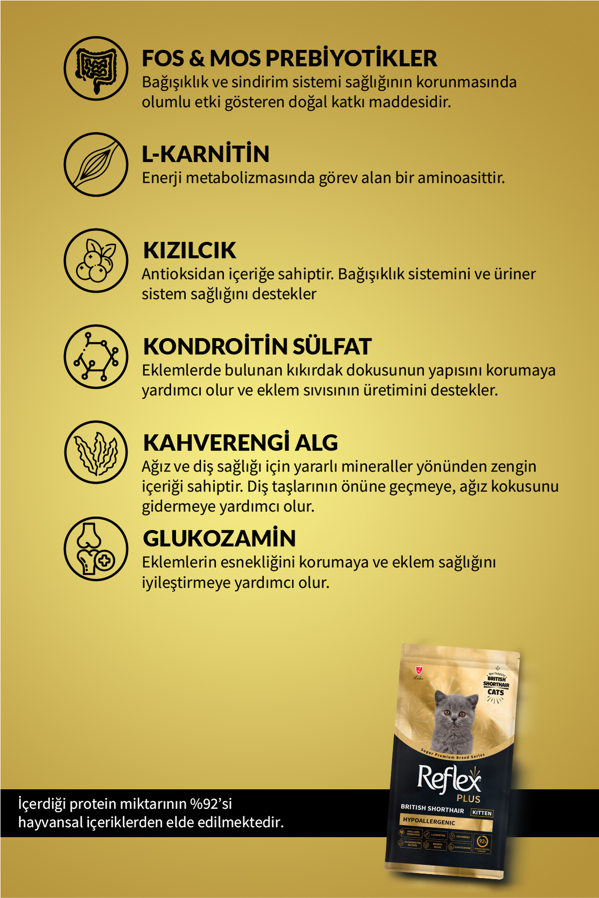 Plus British Shorthair Yavru Kedi Maması 8 Kg