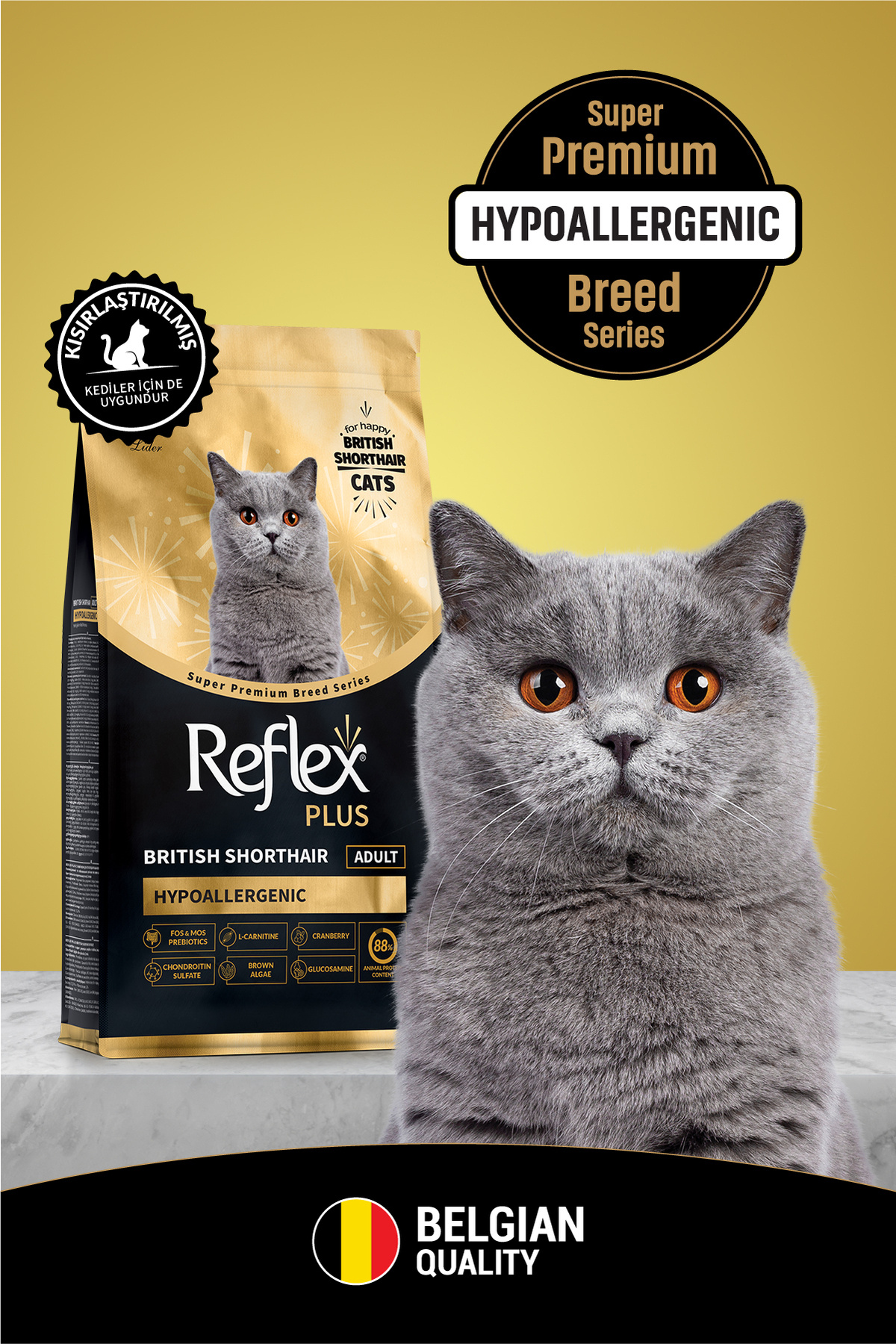 Plus British Shorthair Yetişkin Kedi Maması 8 Kg