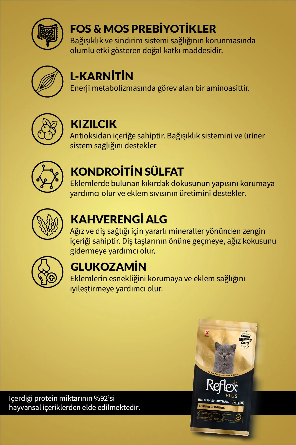 Plus British Shorthair Hipoalerjenik Yavru Kedi Maması 1,5 Kg